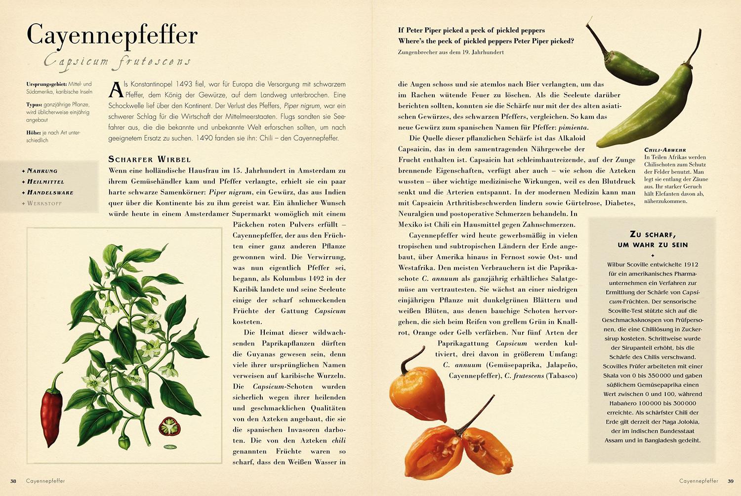 Beispielinhalt (Bild) 50 Pflanzen