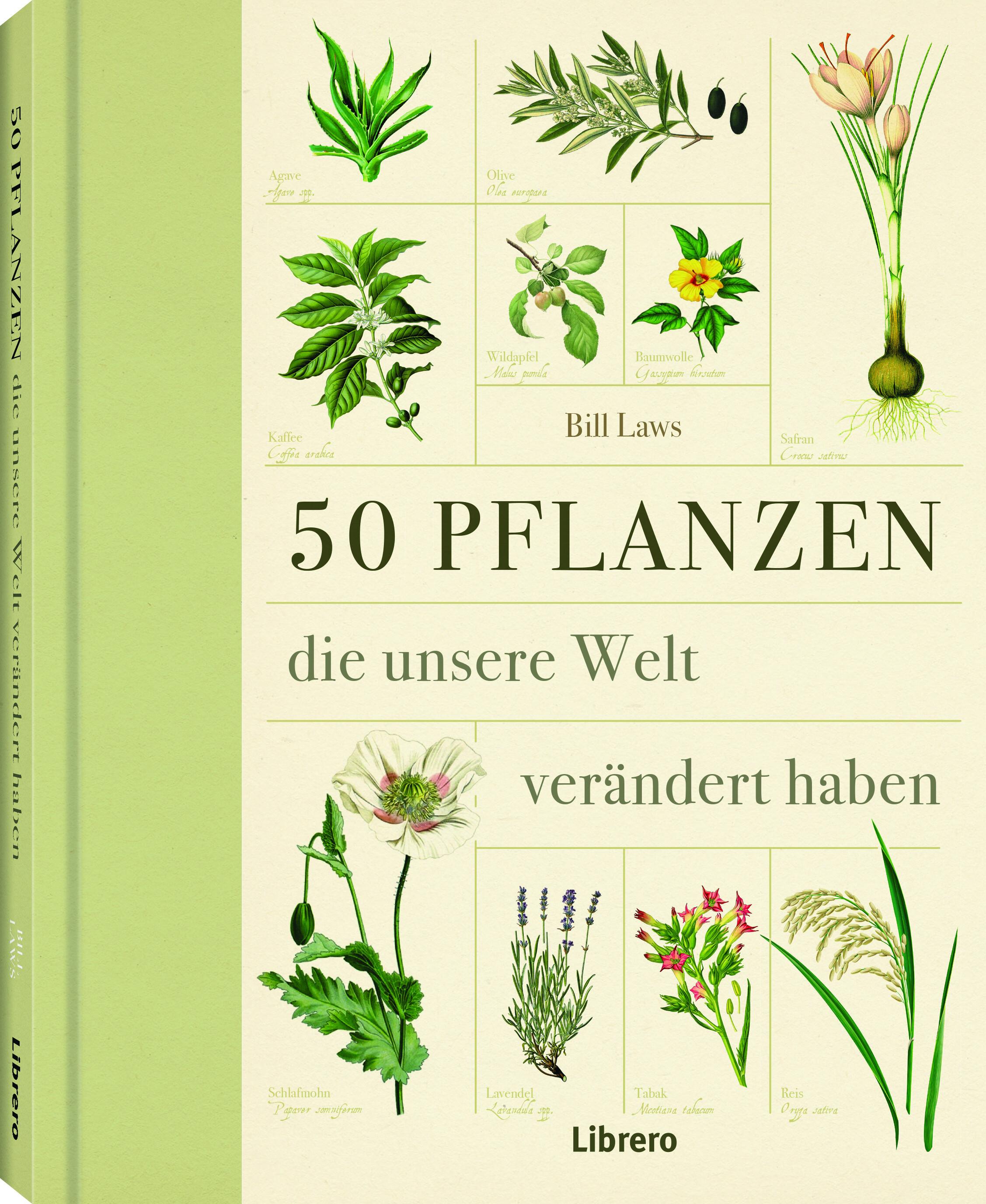 Vorderes Coverbild 50 Pflanzen