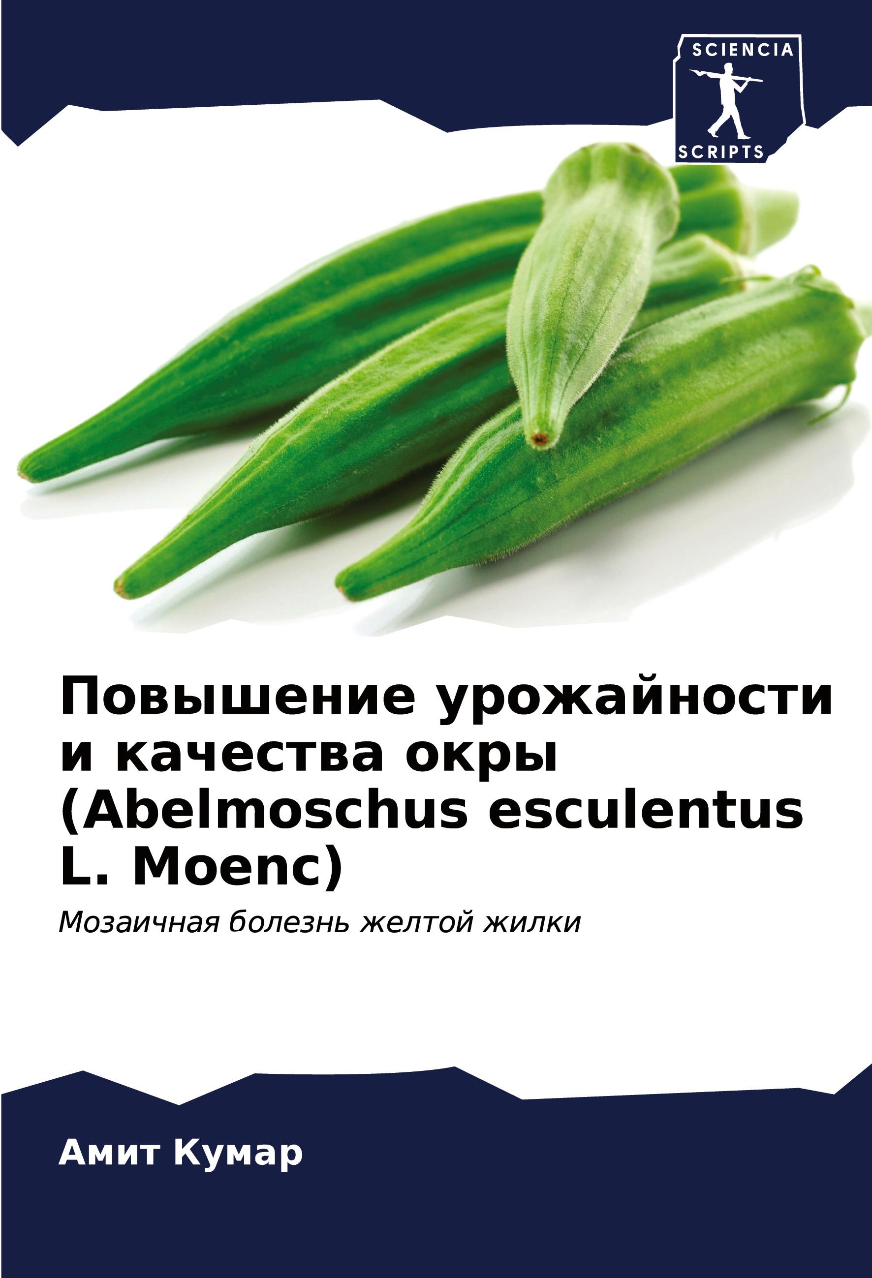 Vorderes Coverbild Powyshenie urozhajnosti i kachestwa okry (Abelmoschus esculentus L. Moenc)