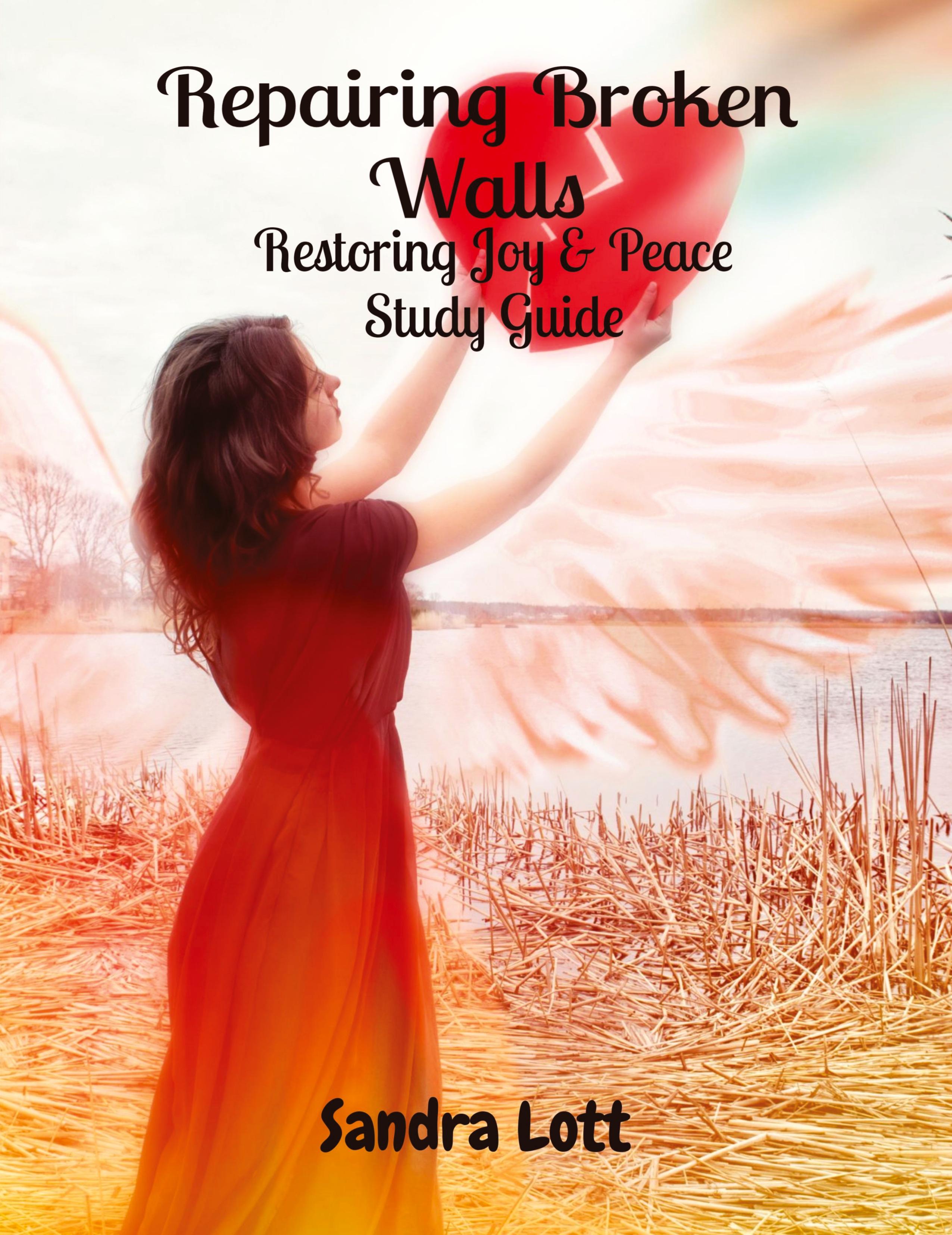 Vorderes Coverbild Repairing Broken Walls