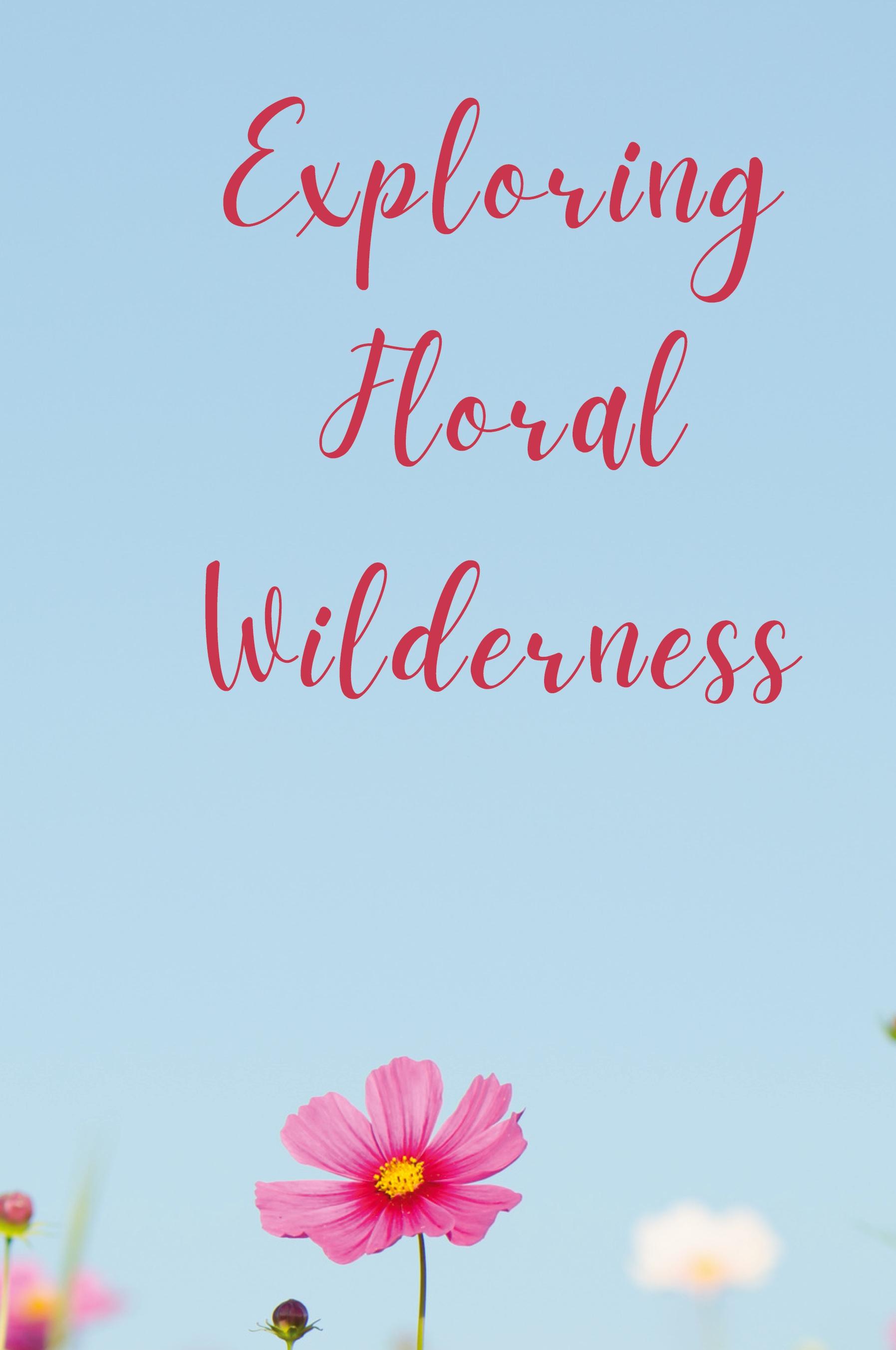Vorderes Coverbild Exploring Floral Wilderness