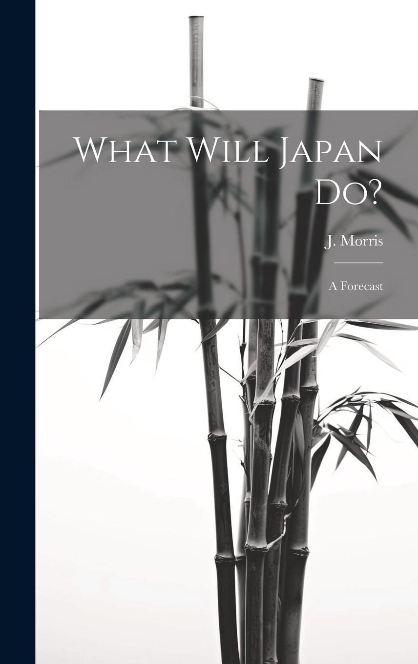 Vorderes Coverbild What Will Japan Do?