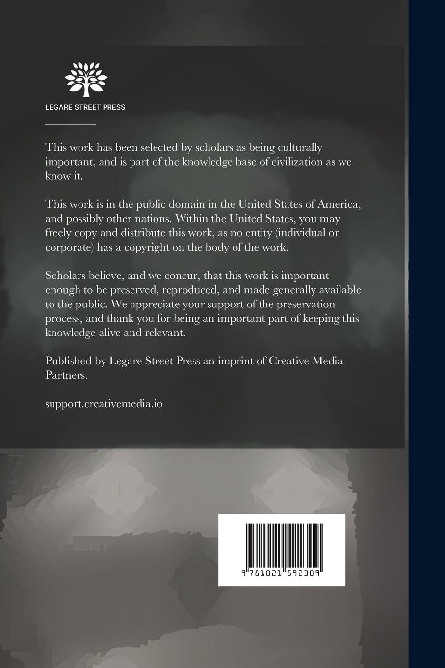 Rückseitencover Mittagswende.