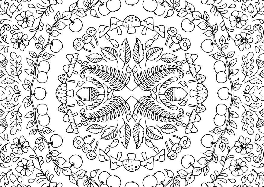 Beispielinhalt (Bild) Kleine Wunderwelten