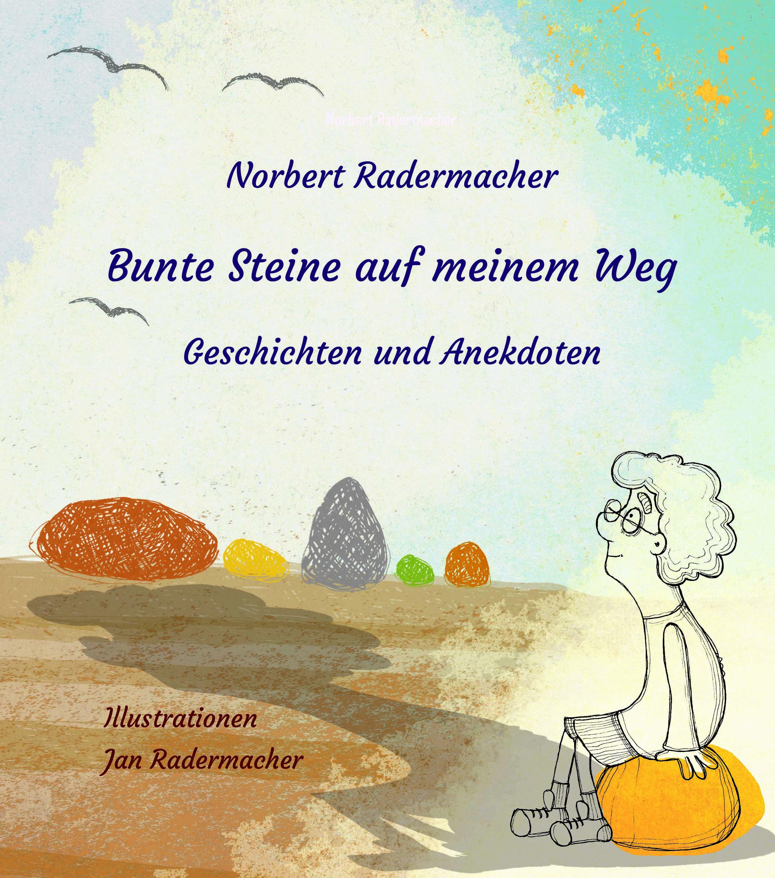Vorderes Coverbild Bunte Steine auf meinem Weg