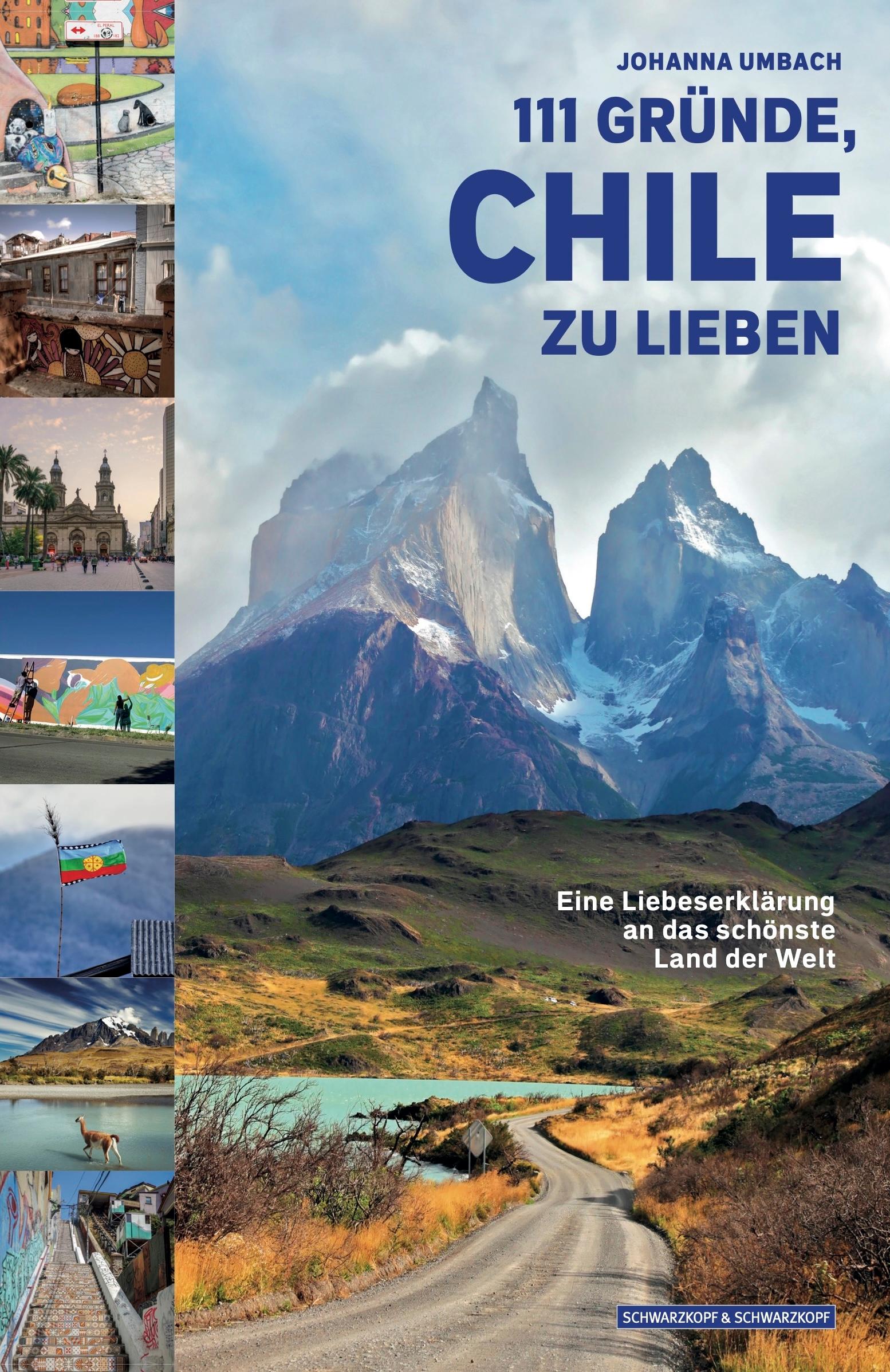 Vorderes Coverbild 111 GRÜNDE, CHILE ZU LIEBEN