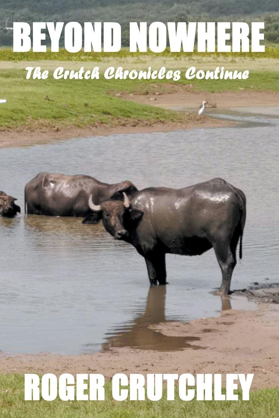 Vorderes Coverbild Beyond Nowhere