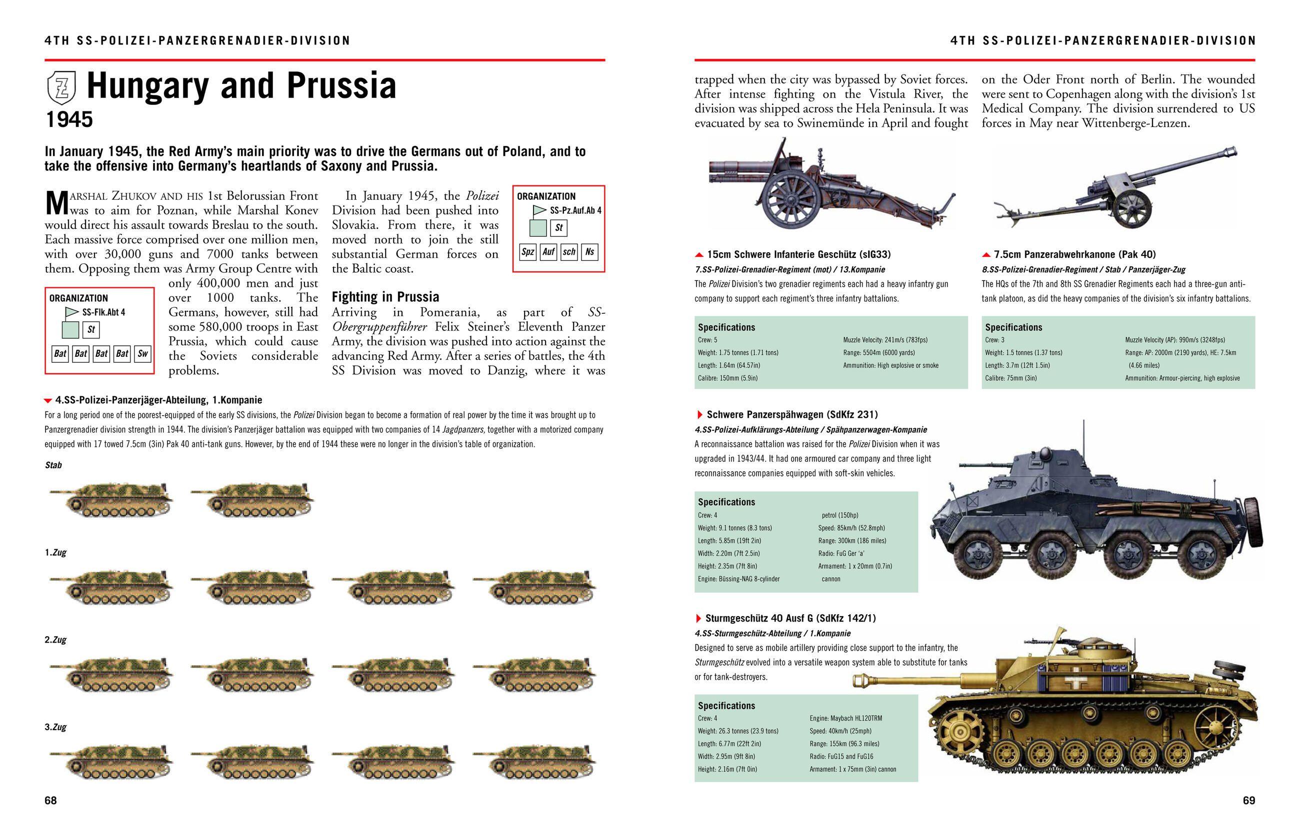Beispielinhalt (Bild) Waffen-SS Divisions 1939-45