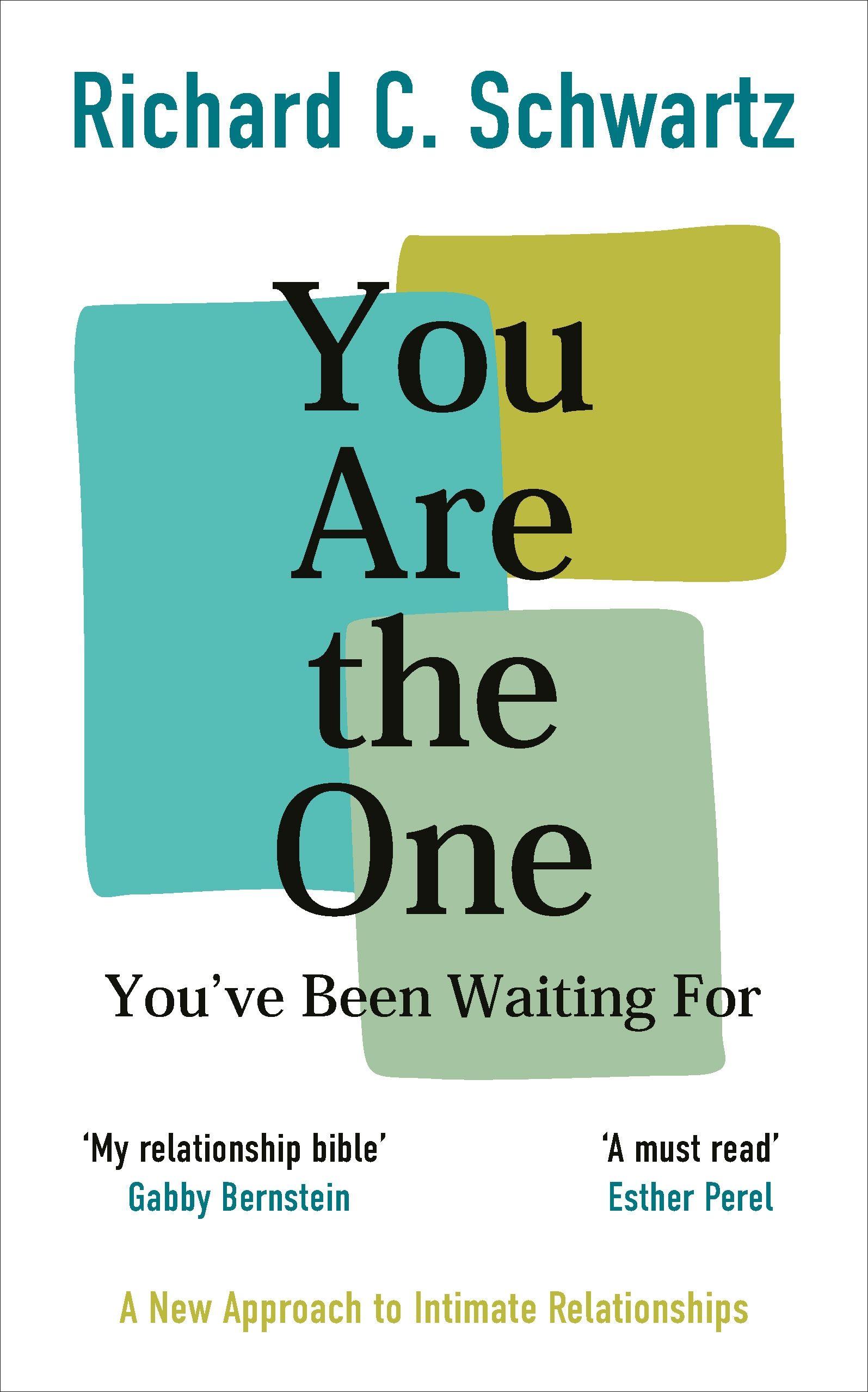 Vorderes Coverbild You Are the One You've Been Waiting For