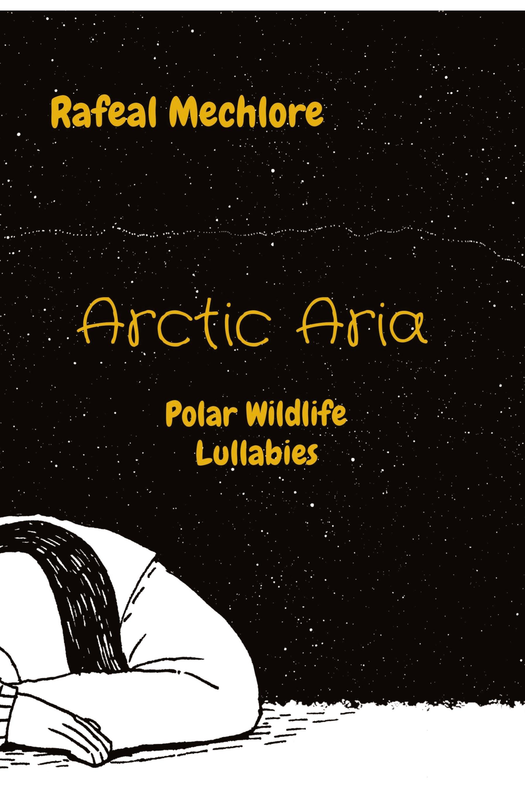 Vorderes Coverbild Arctic Aria