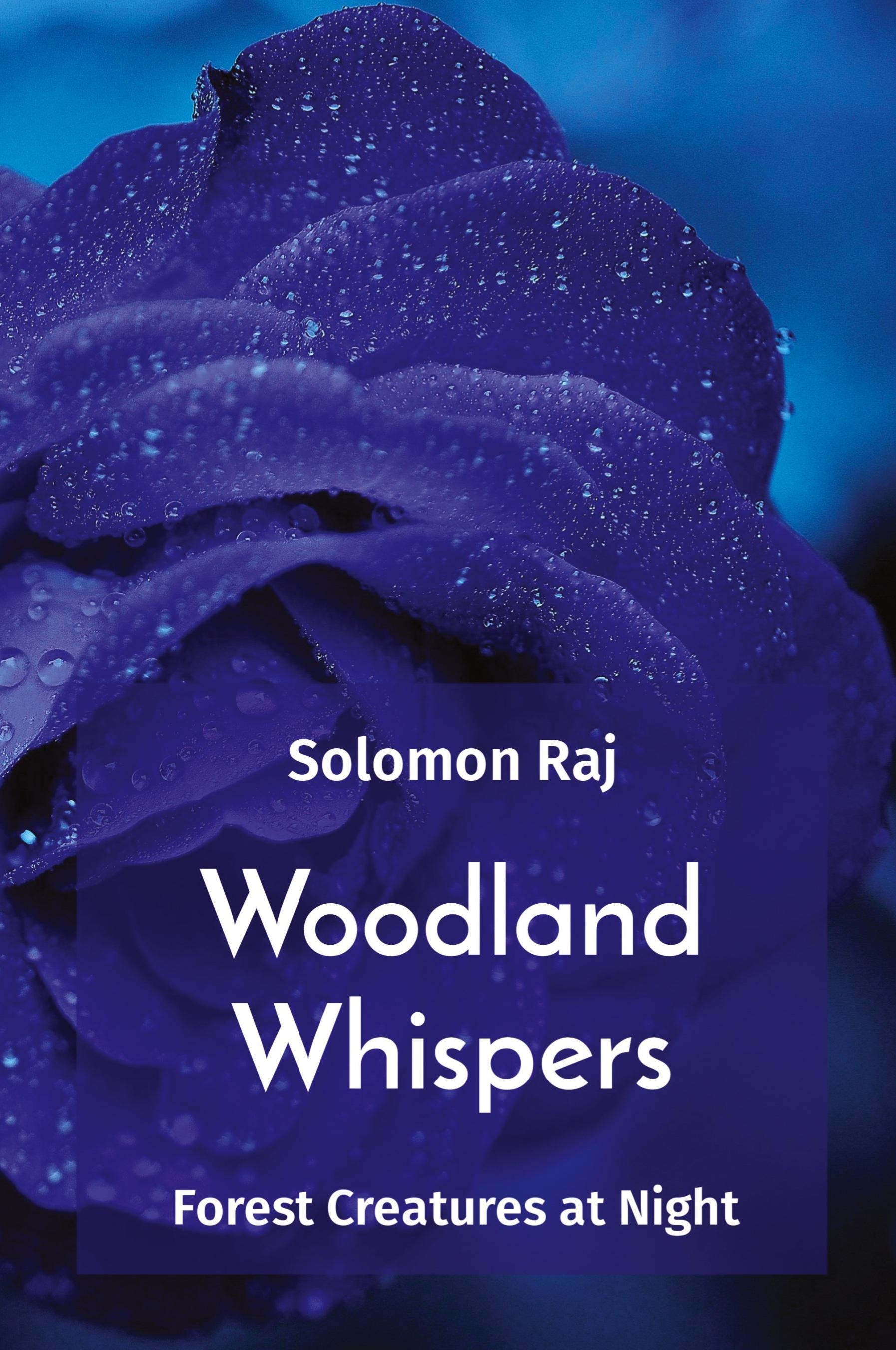 Vorderes Coverbild Woodland Whispers