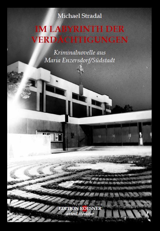 Vorderes Coverbild Im Labyrinth der Verdächtigungen