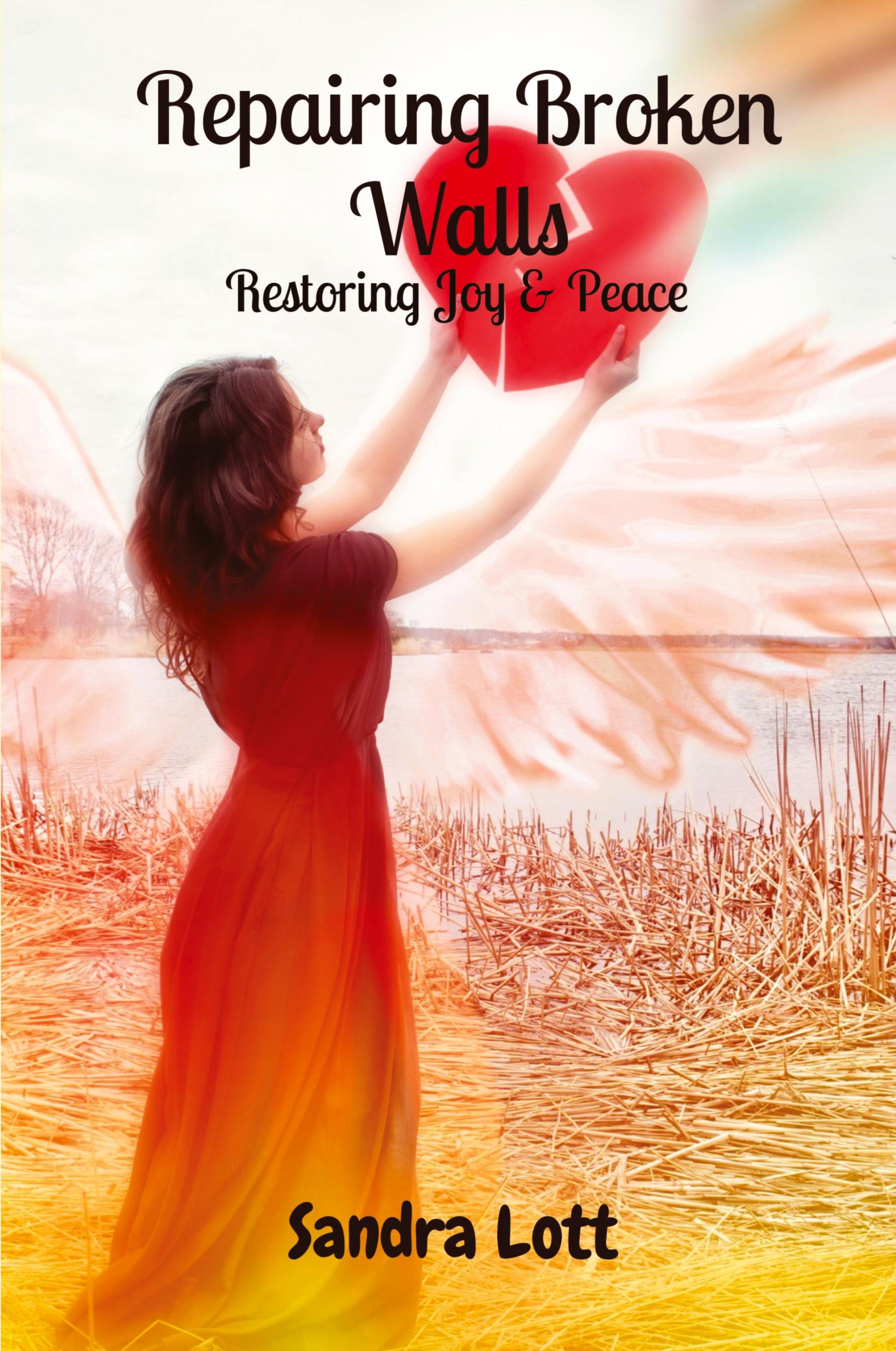 Vorderes Coverbild Repairing Broken Walls