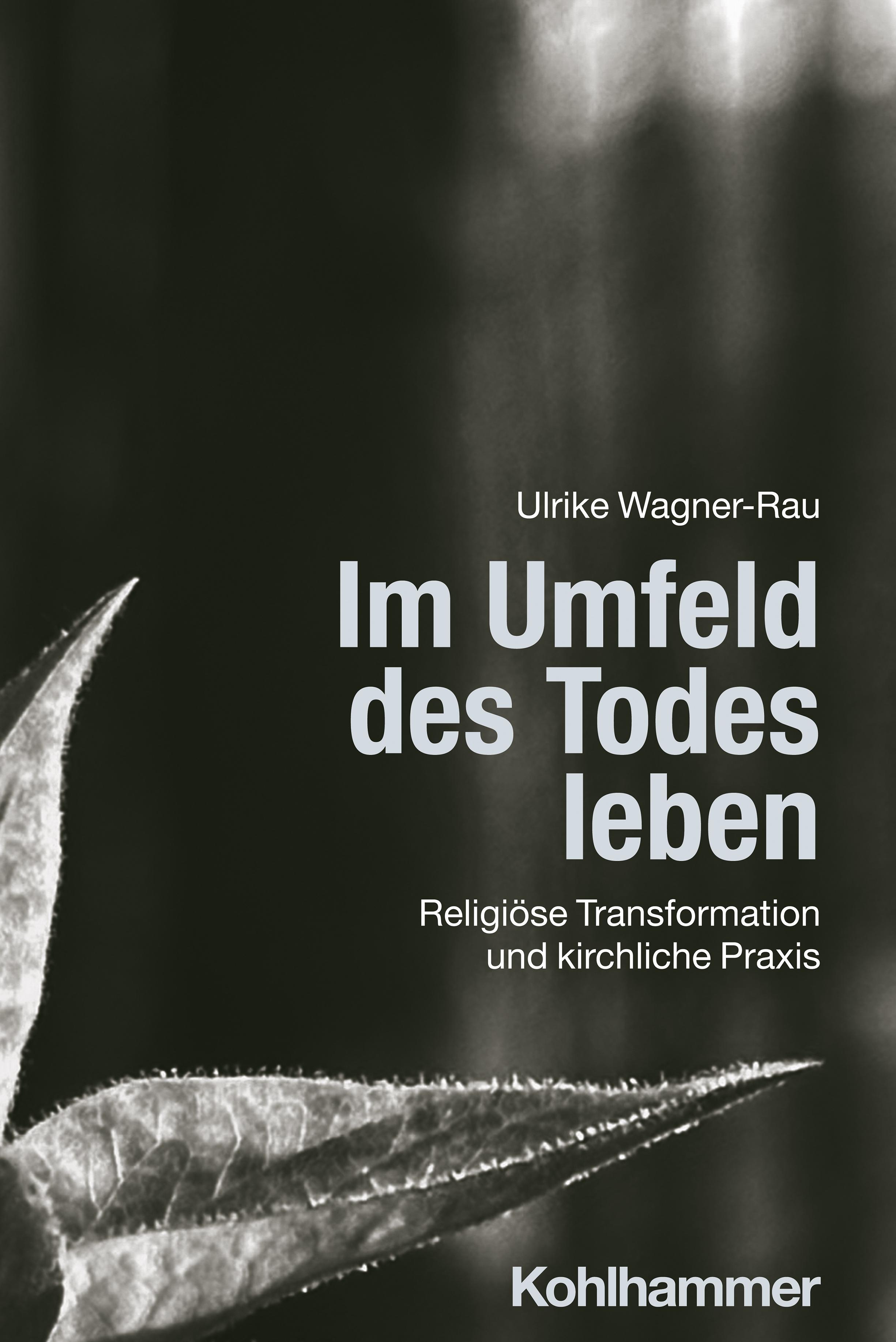 Vorderes Coverbild Im Umfeld des Todes leben