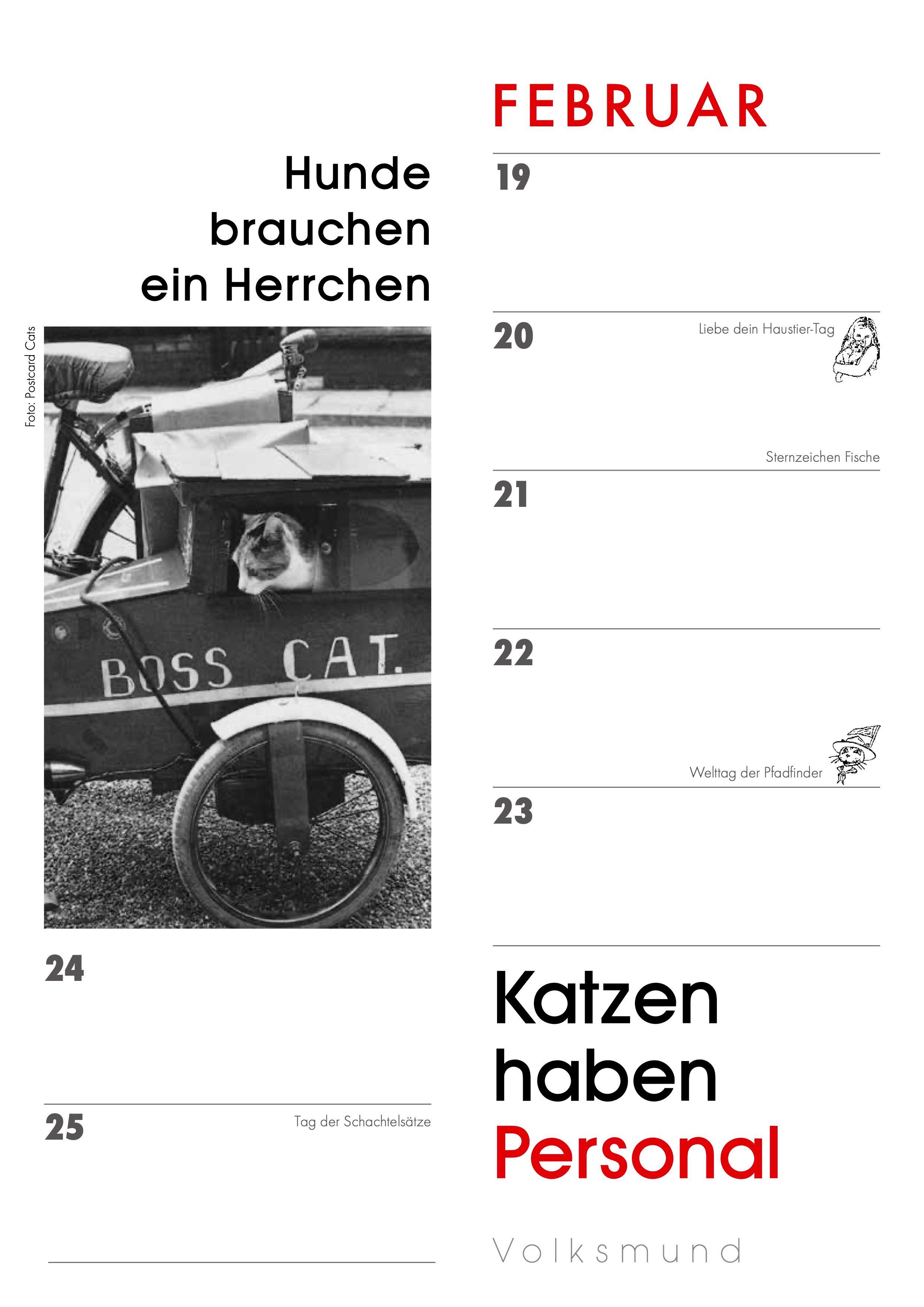 Beispielinhalt (Bild) Das Jahr mit Katzen