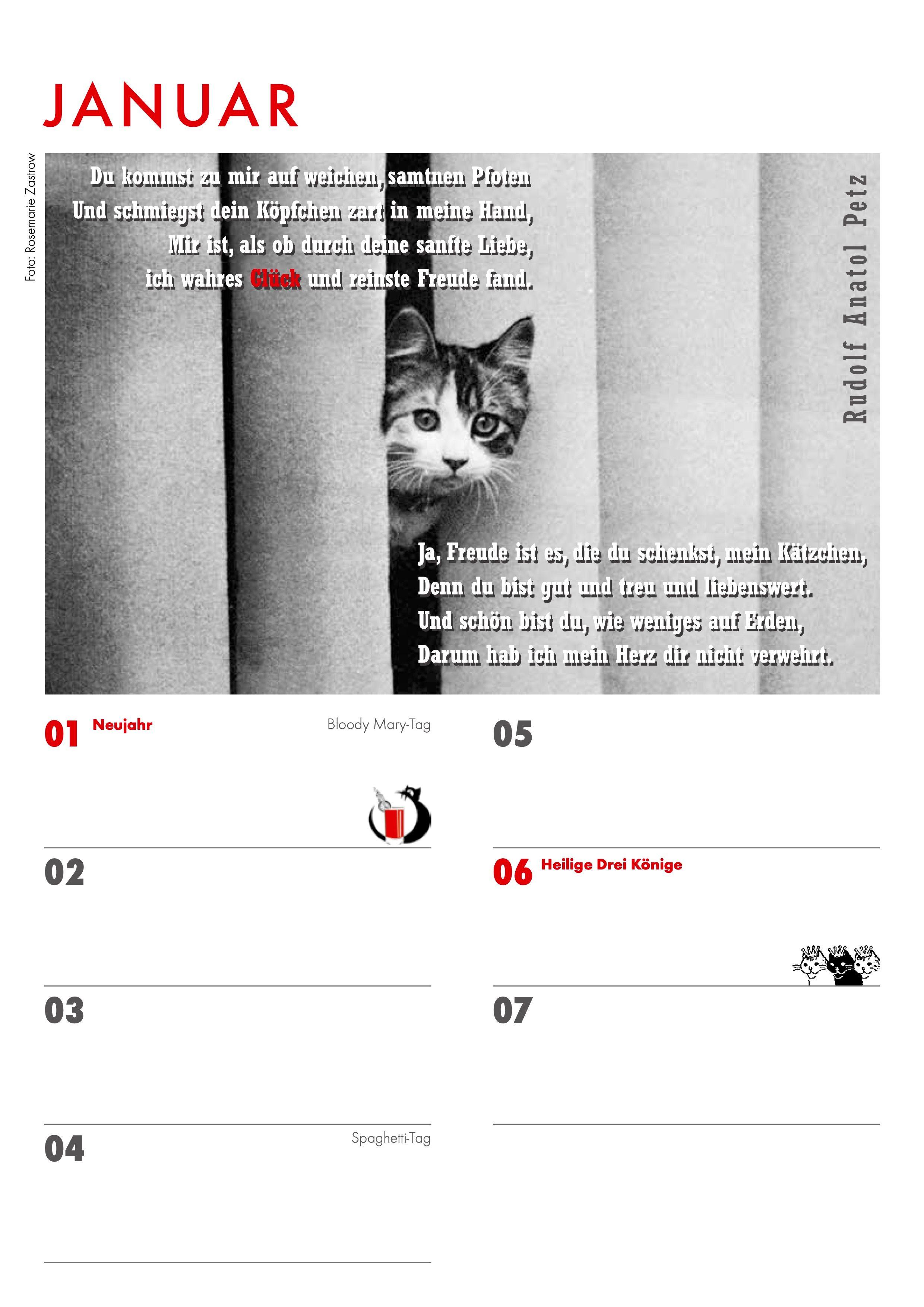 Beispielinhalt (Bild) Das Jahr mit Katzen