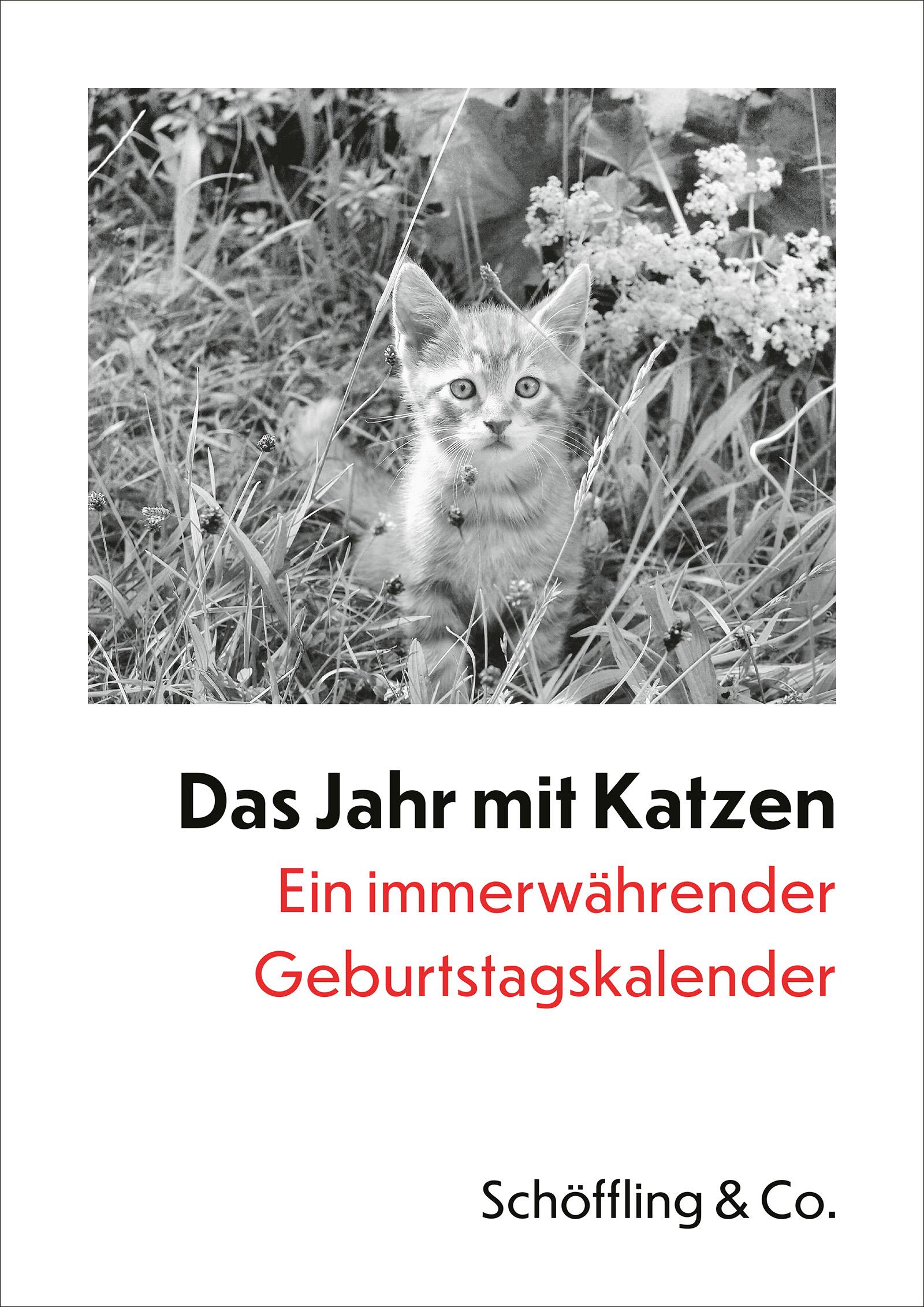Vorderes Coverbild Das Jahr mit Katzen