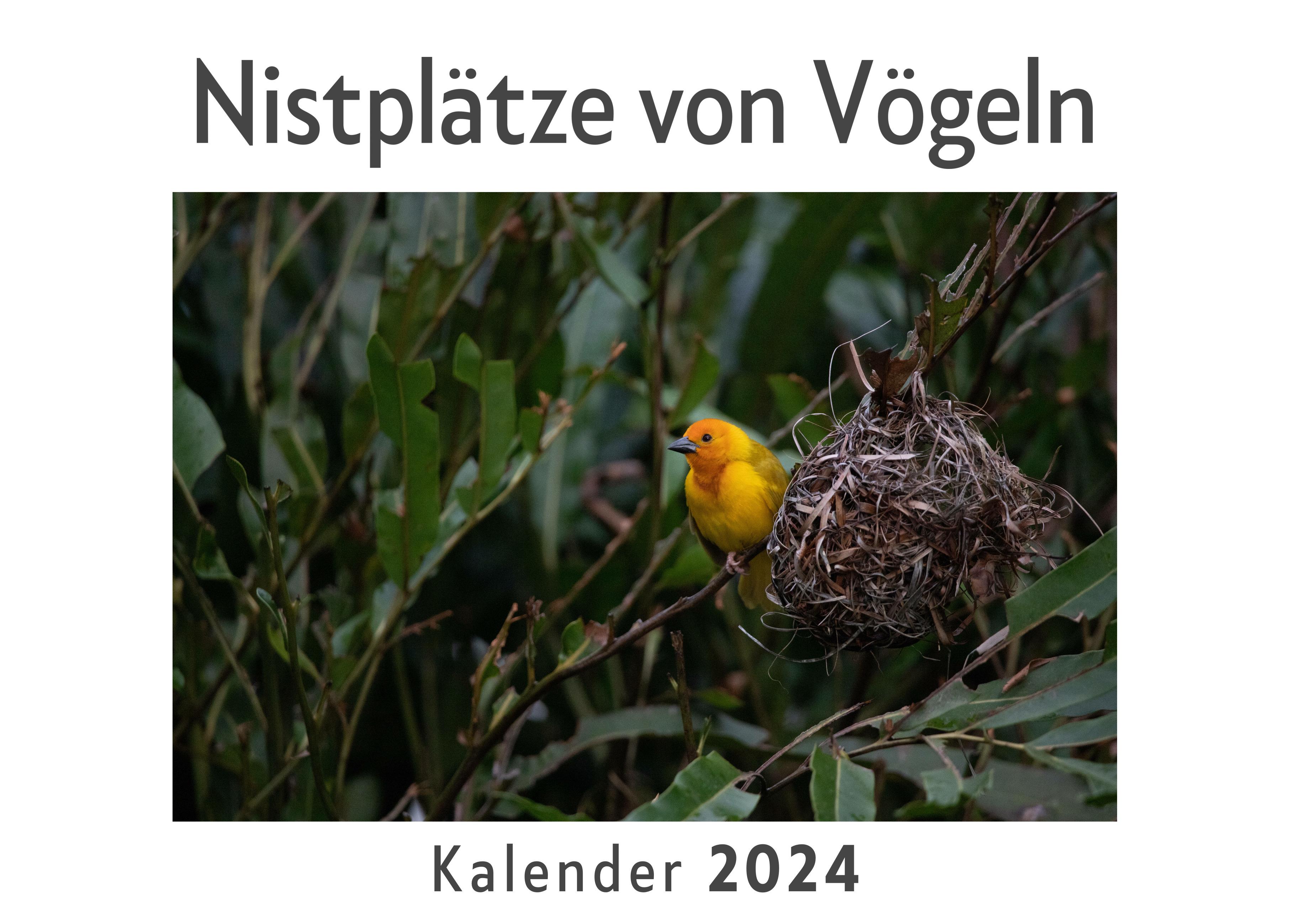 Vorderes Coverbild Nistplätze von Vögeln (Wandkalender 2024, Kalender DIN A4 quer, Monatskalender im Querformat mit Kalendarium, Das perfekte Geschenk)