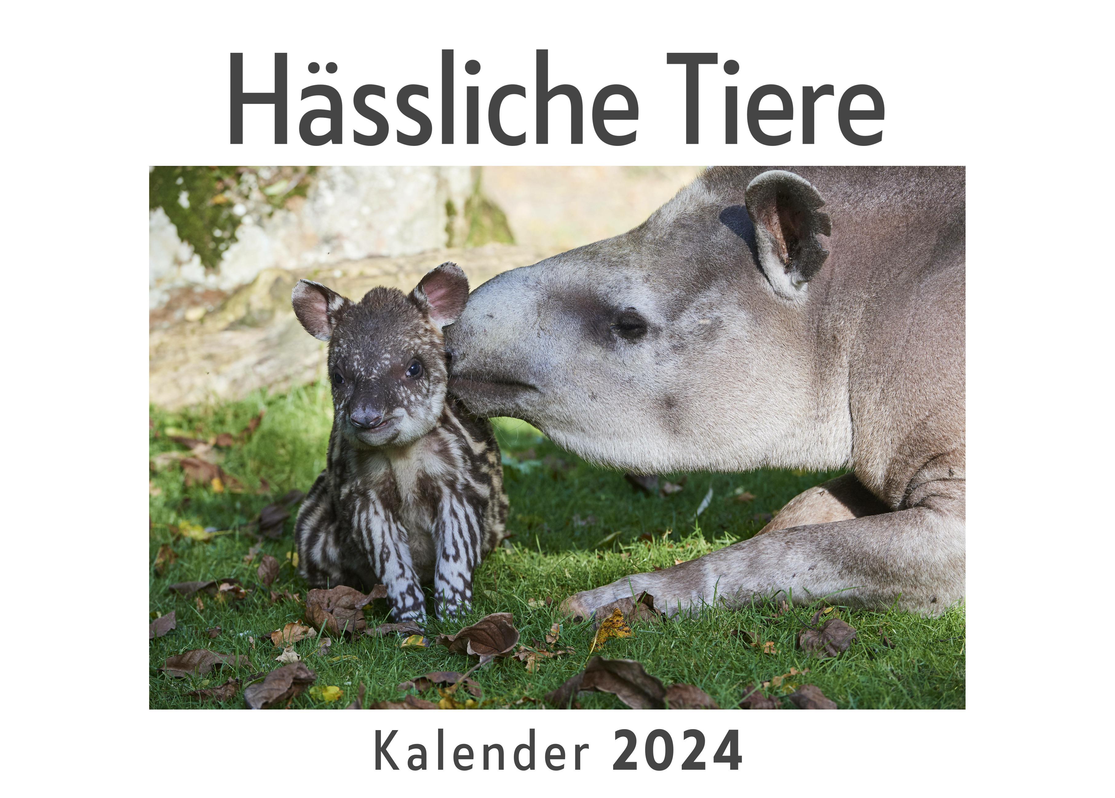 Vorderes Coverbild Hässliche Tiere (Wandkalender 2024, Kalender DIN A4 quer, Monatskalender im Querformat mit Kalendarium, Das perfekte Geschenk)