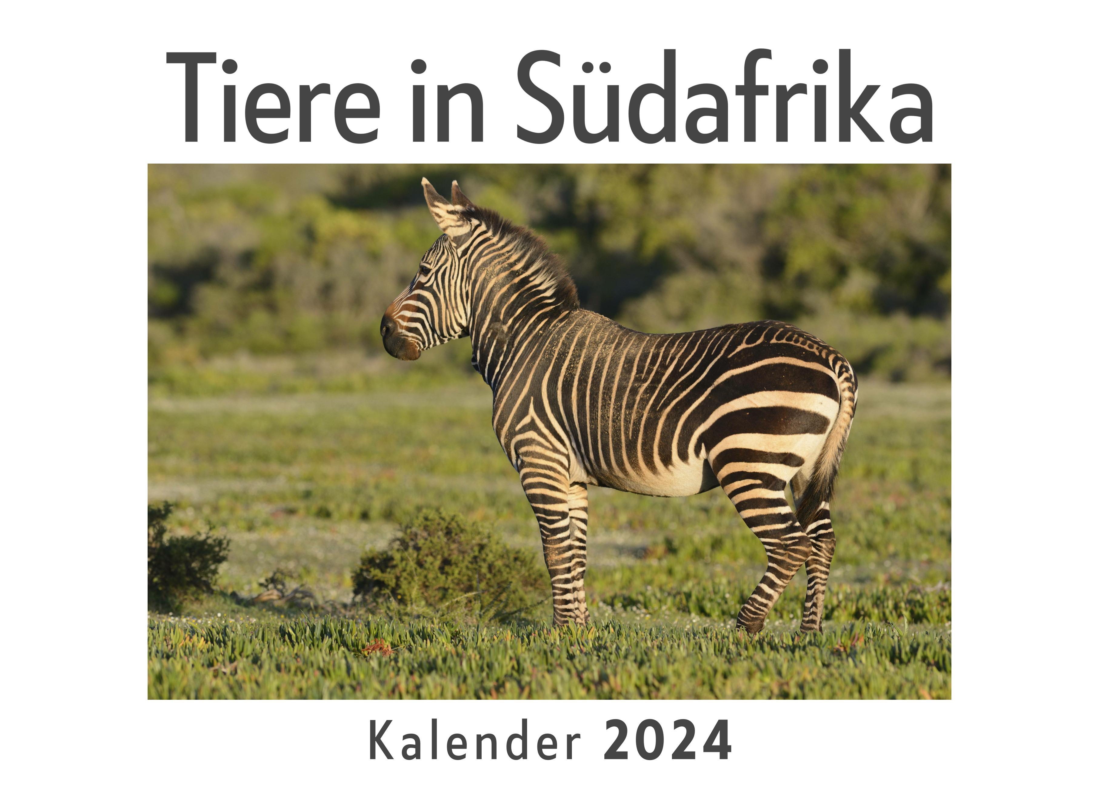 Vorderes Coverbild Tiere in Südafrika (Wandkalender 2024, Kalender DIN A4 quer, Monatskalender im Querformat mit Kalendarium, Das perfekte Geschenk)