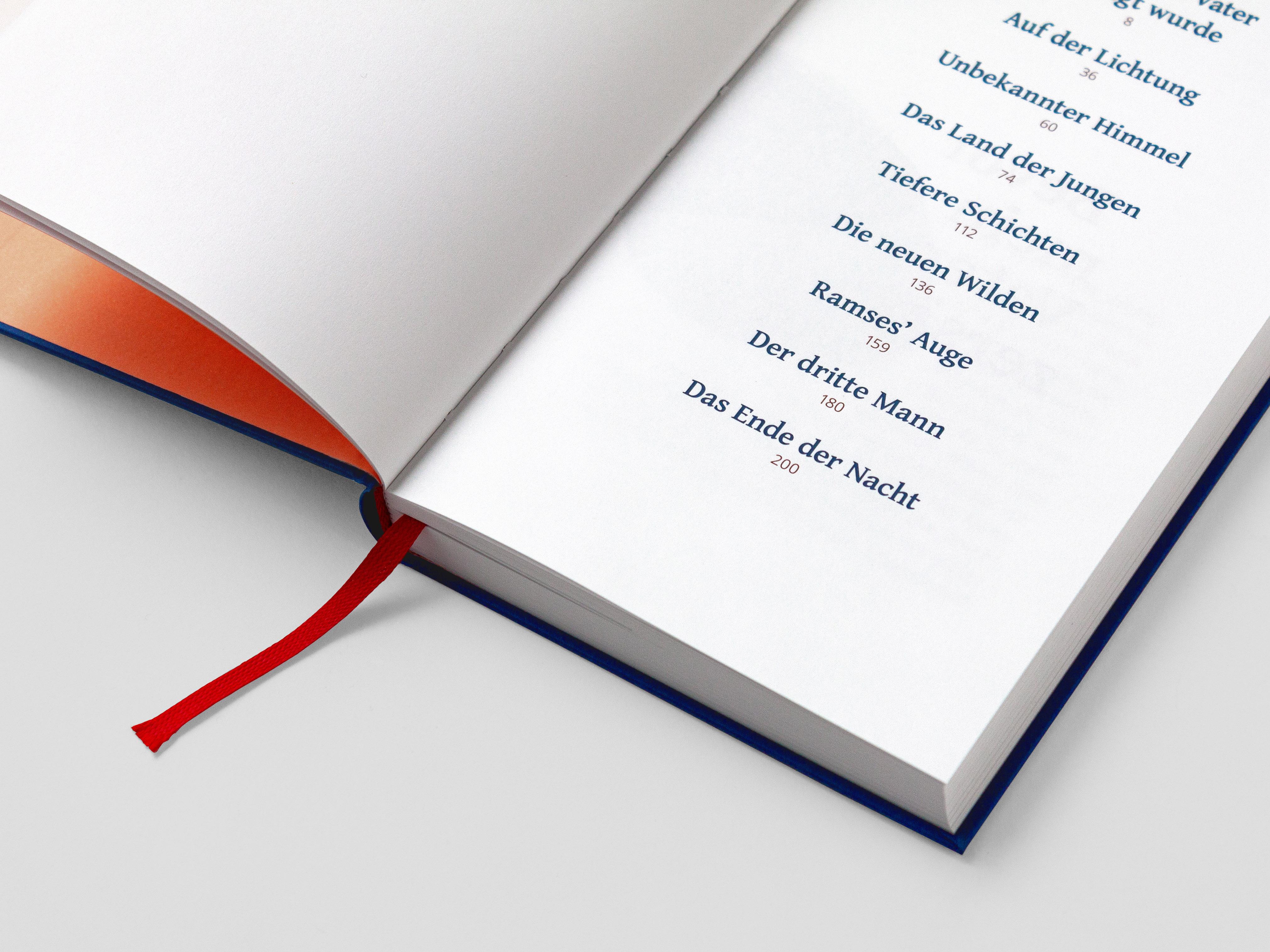 Beispielinhalt (Bild) Das Land der Jungen