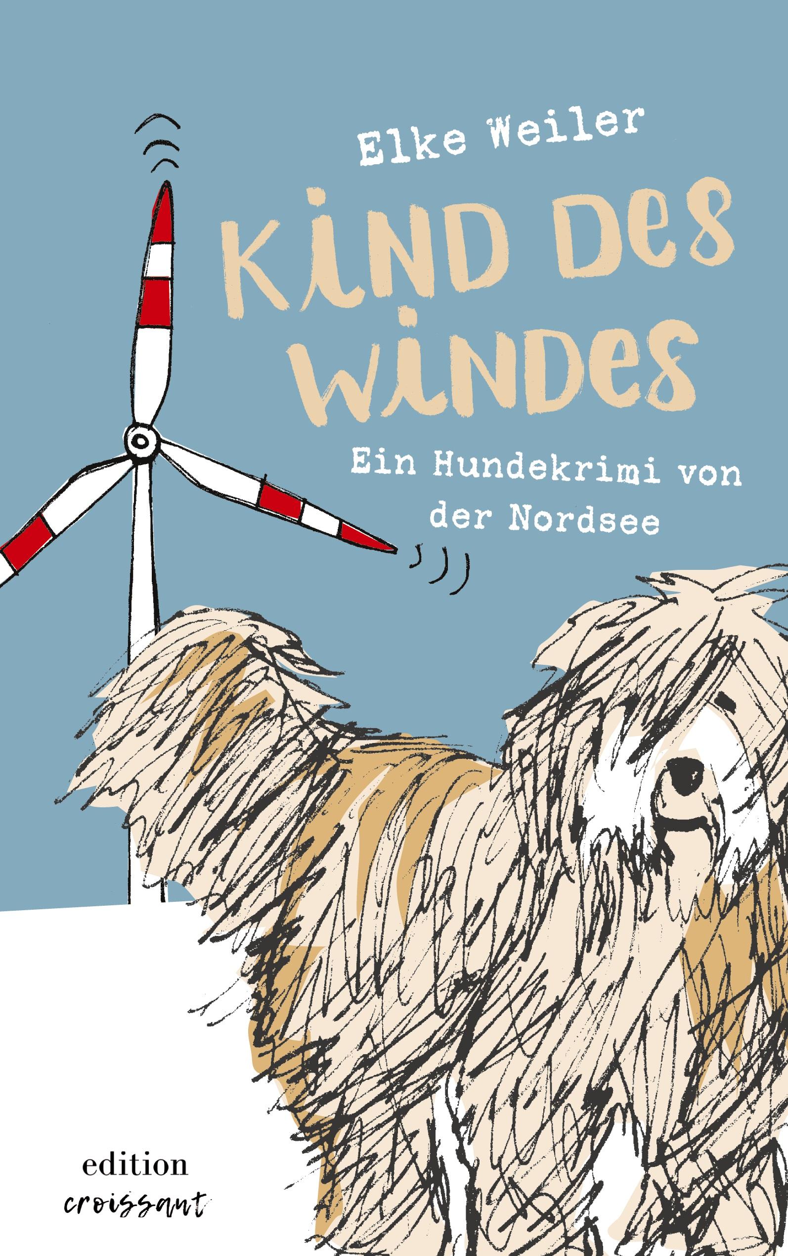 Vorderes Coverbild Kind des Windes