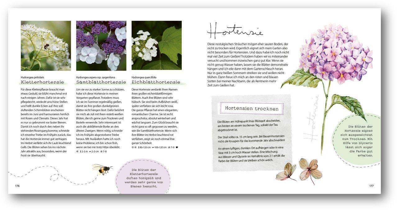 Beispielinhalt (Bild) GartenGlück