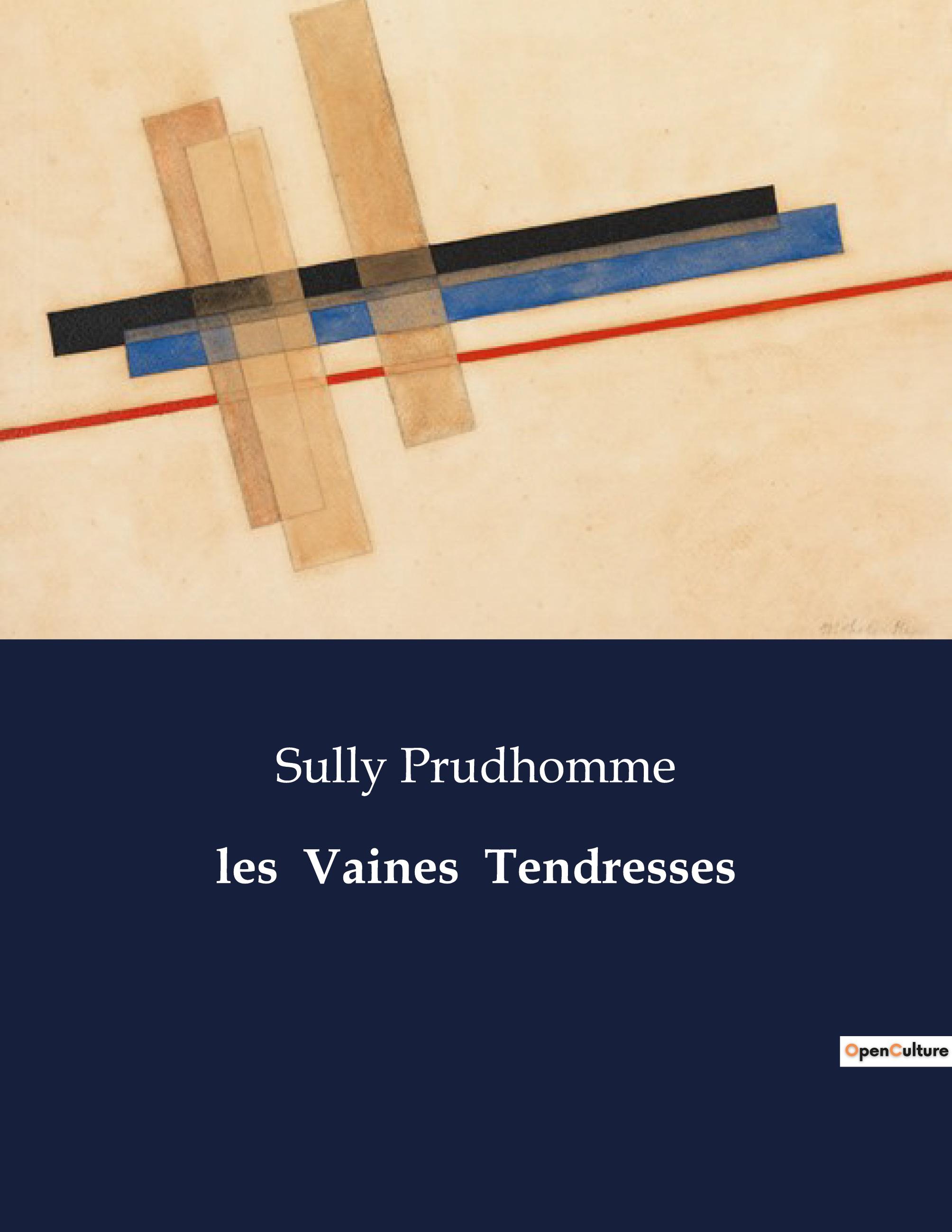 Vorderes Coverbild les  Vaines  Tendresses