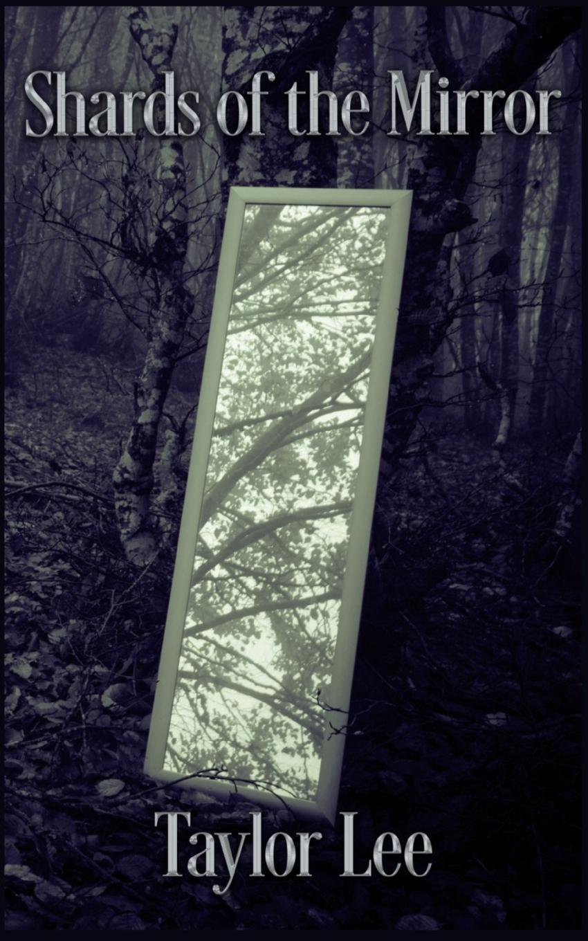 Vorderes Coverbild Shards of the Mirror