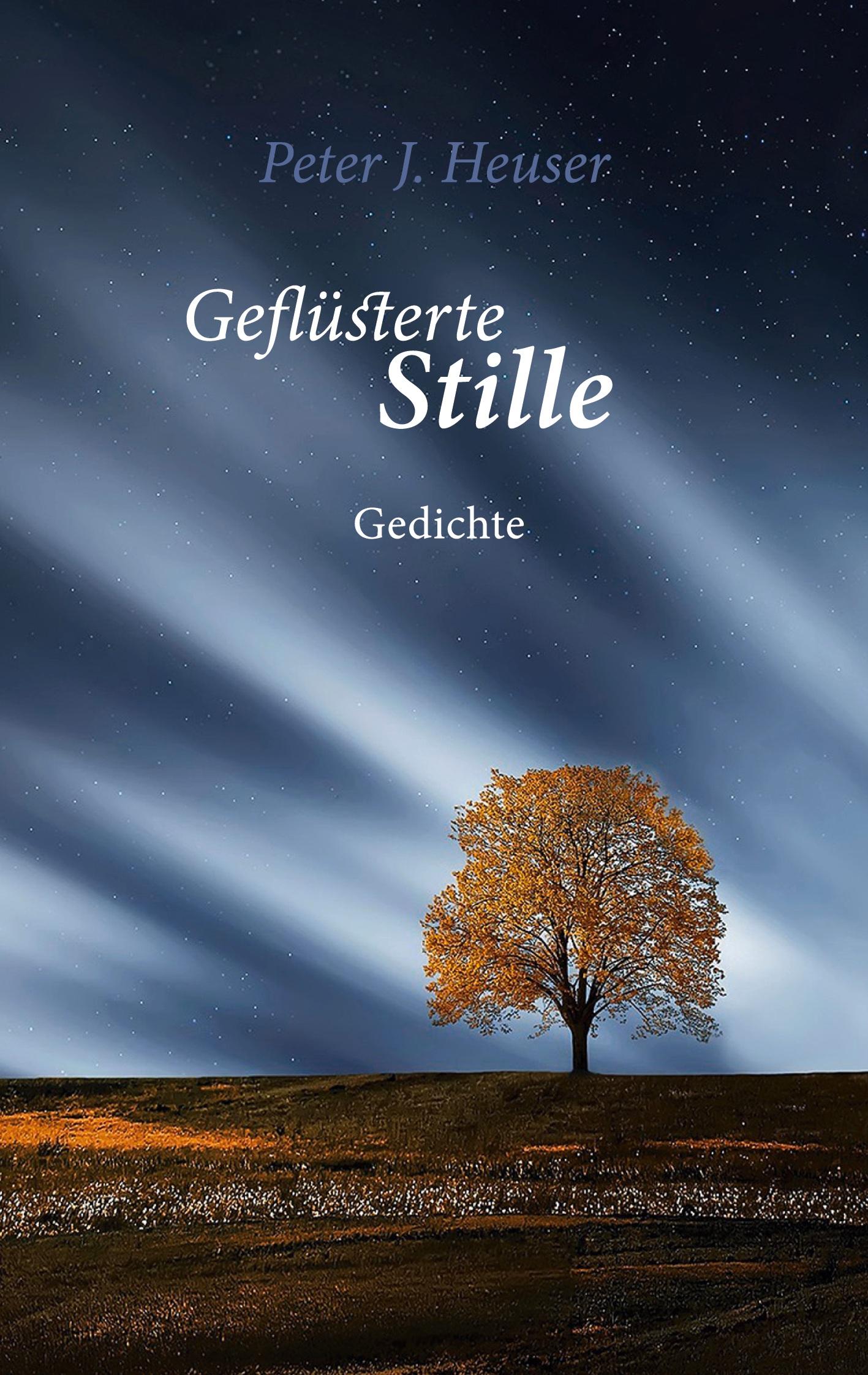 Vorderes Coverbild Geflüsterte Stille