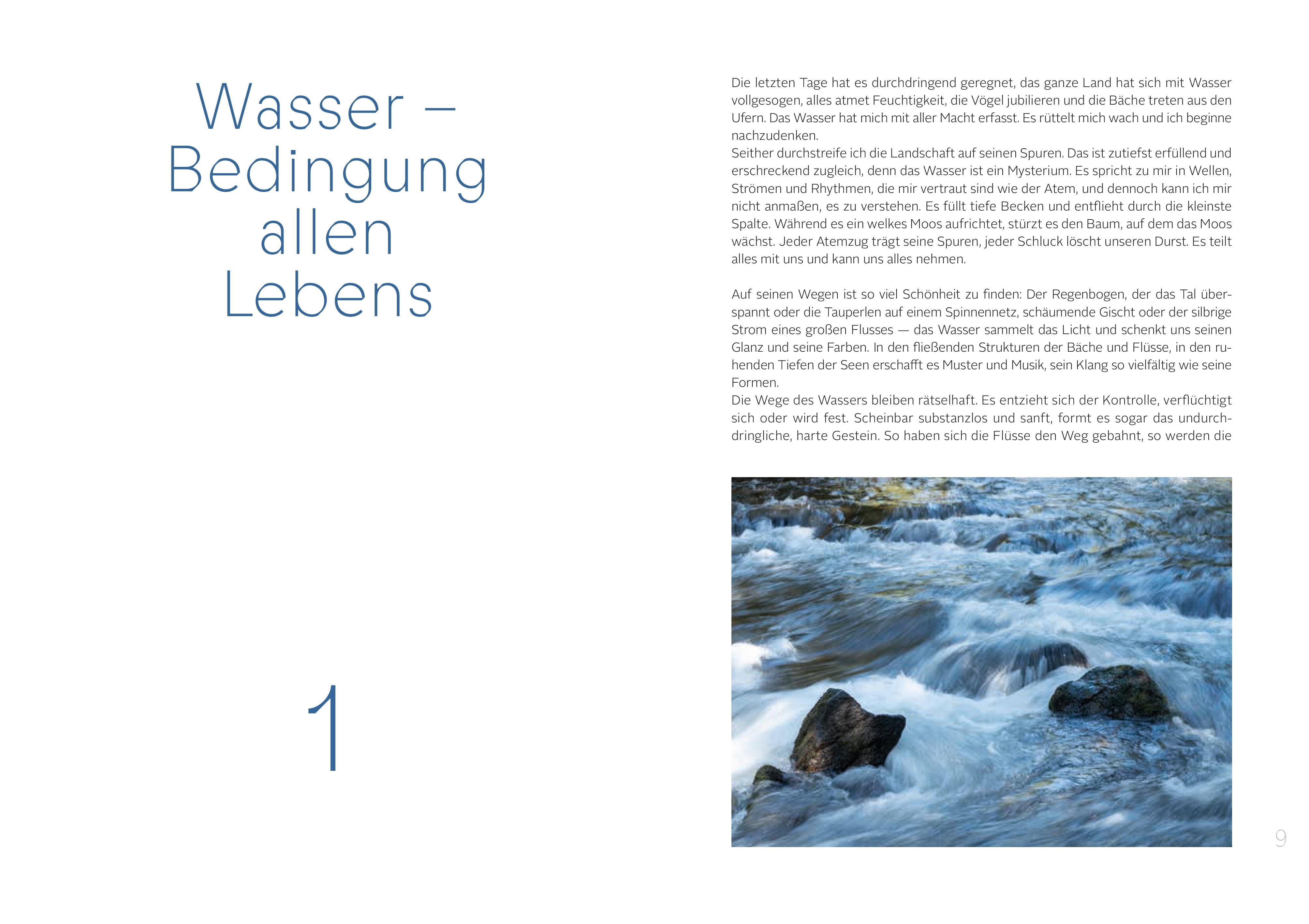 Beispielinhalt (Bild) Die Gaben des Wassers