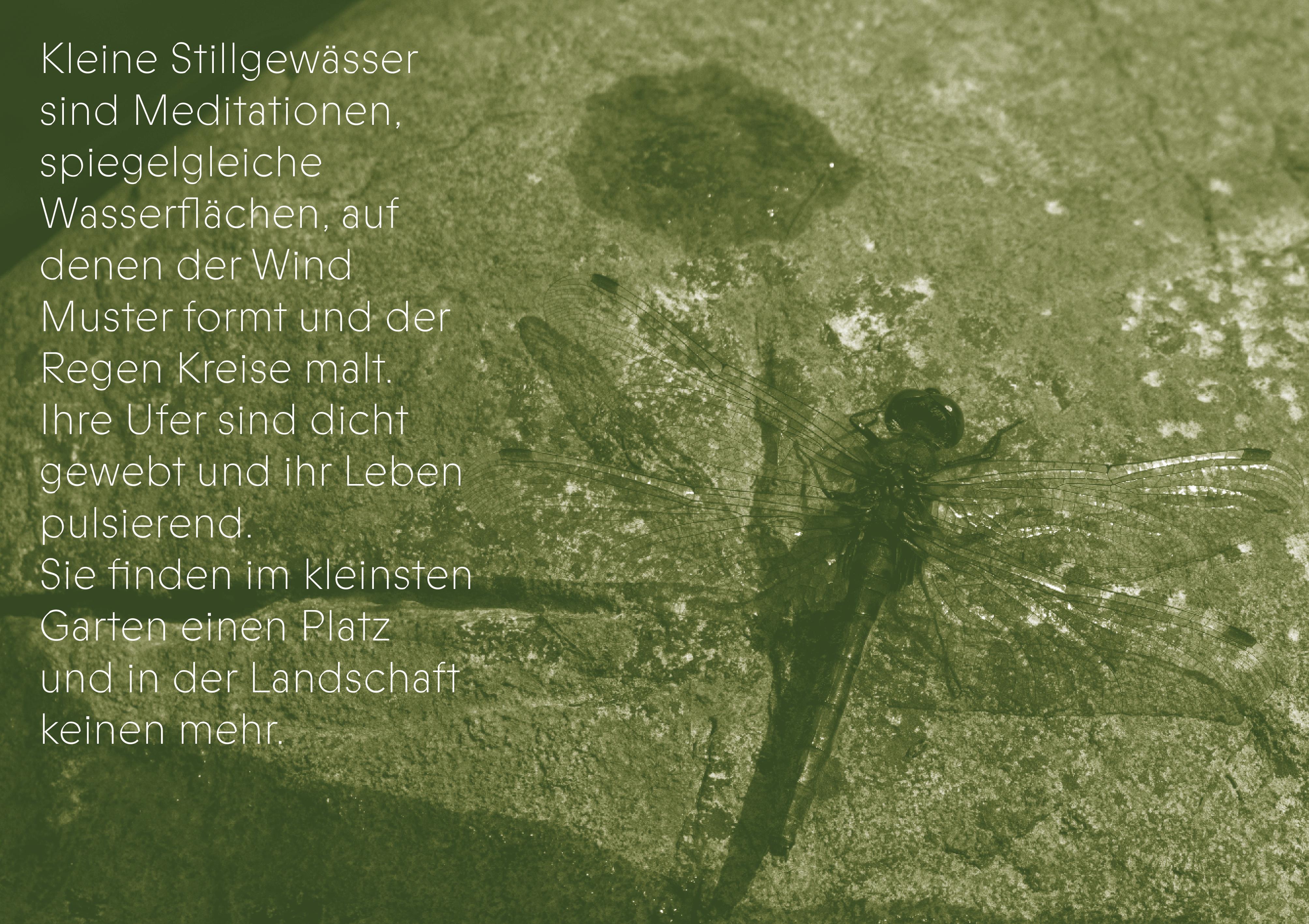 Beispielinhalt (Bild) Die Gaben des Wassers