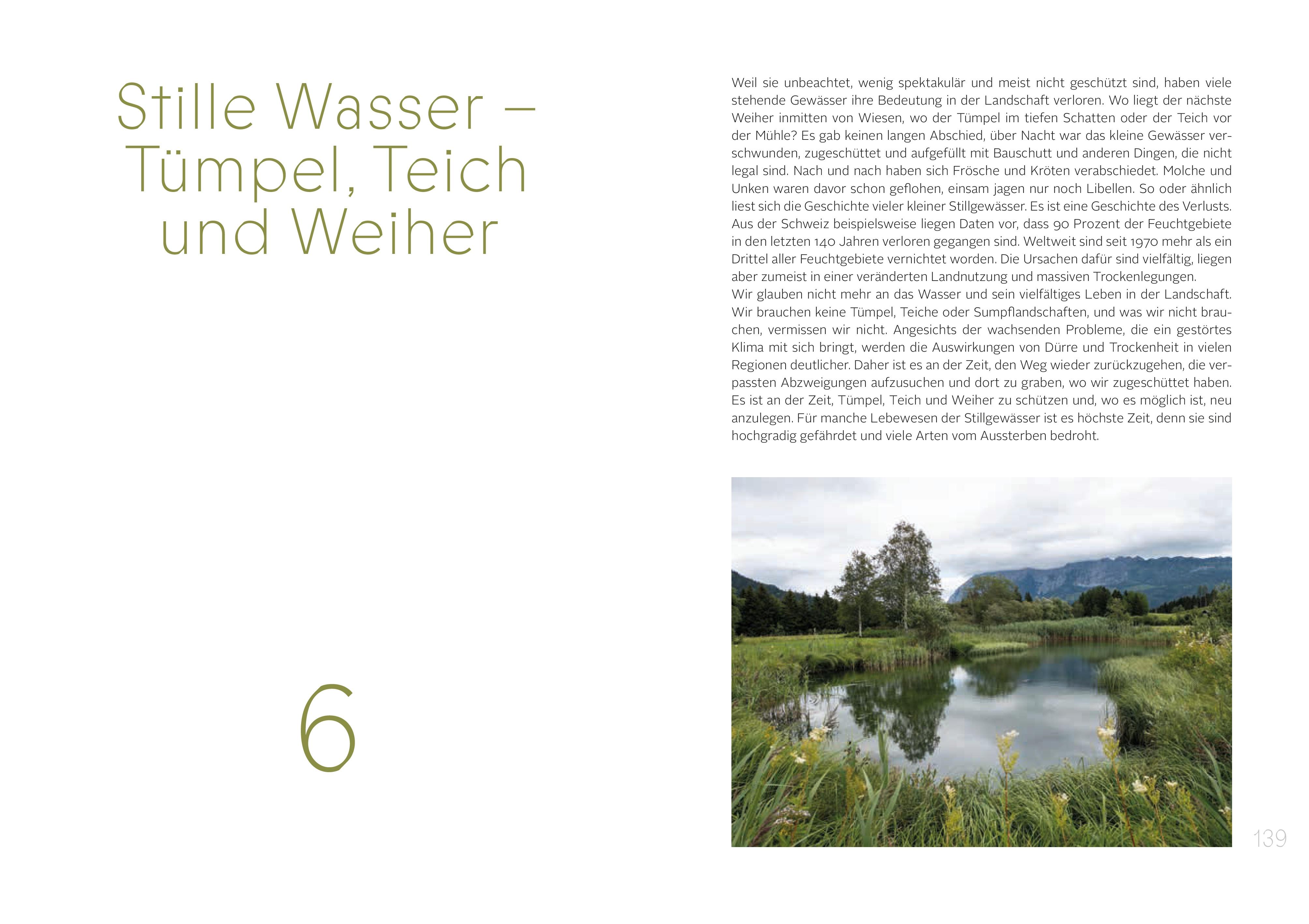Beispielinhalt (Bild) Die Gaben des Wassers