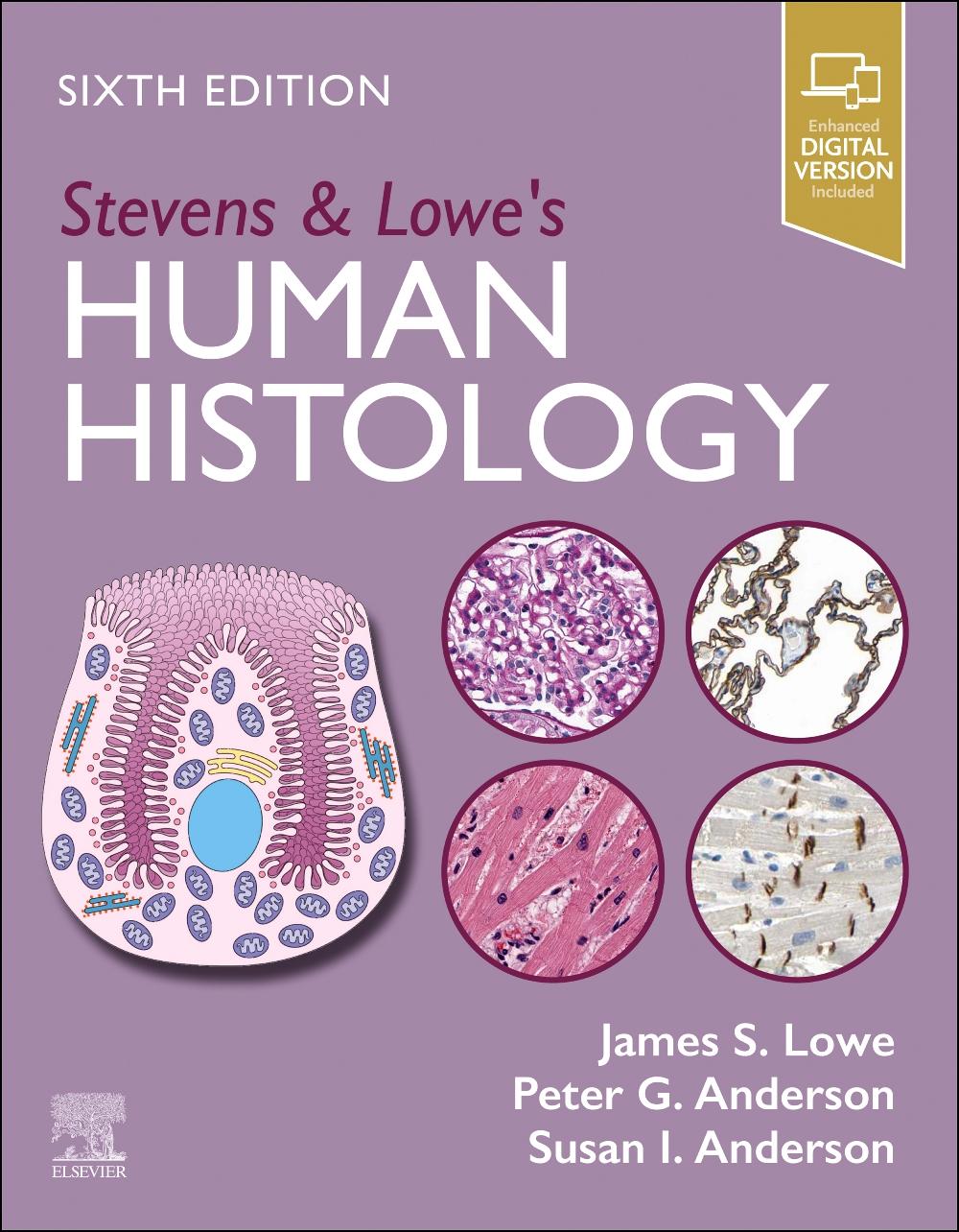 Vorderes Coverbild Stevens & Lowe's Human Histology