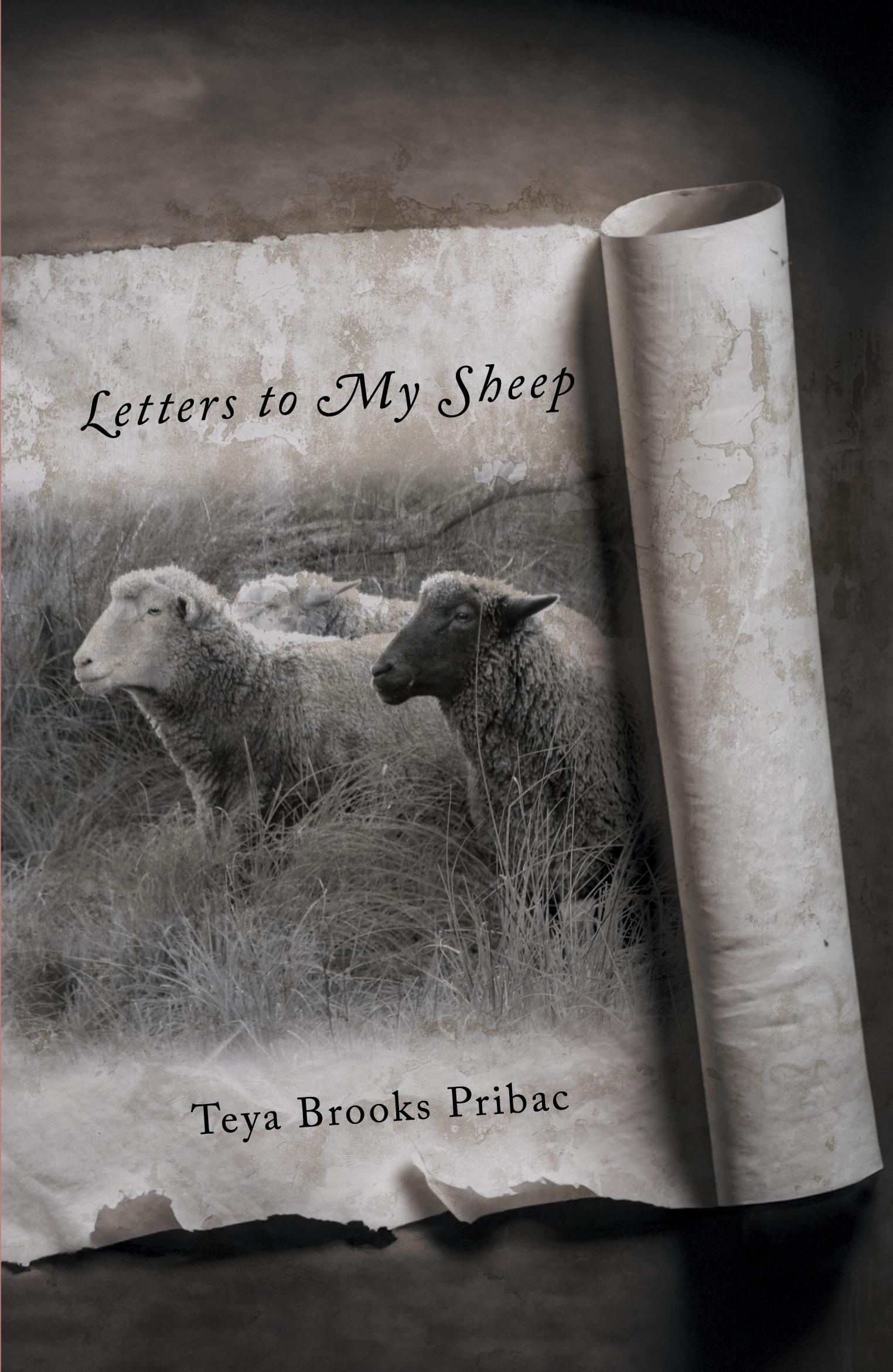 Vorderes Coverbild Letters to My Sheep