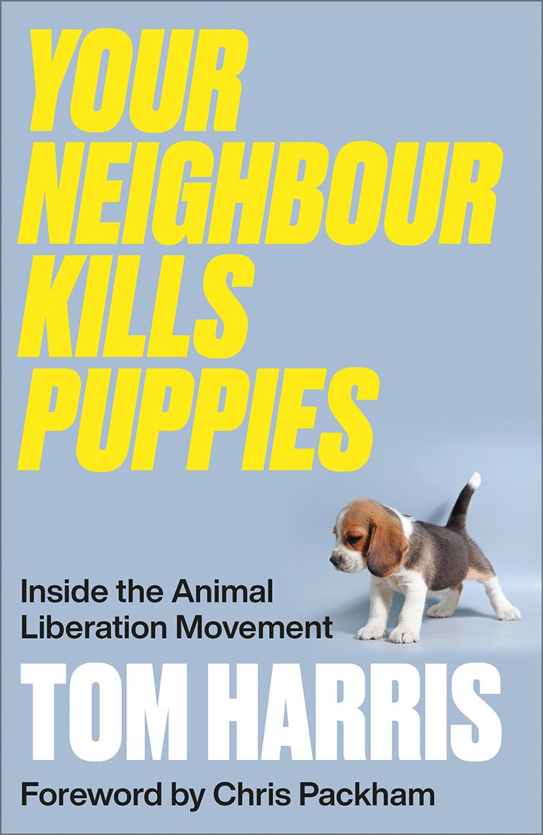 Vorderes Coverbild Your Neighbour Kills Puppies