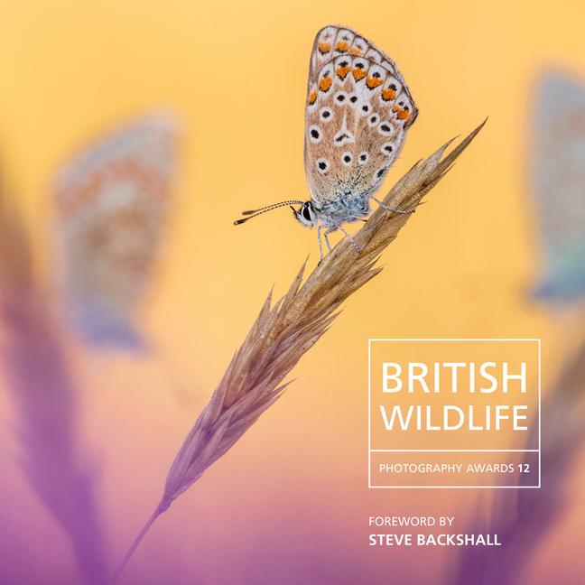 Vorderes Coverbild British Wildlife Photography Awards 12