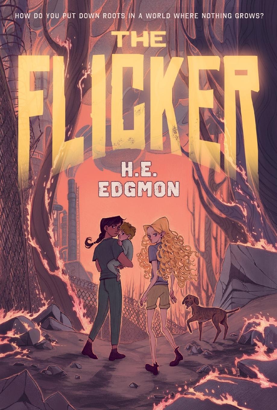 Vorderes Coverbild Flicker