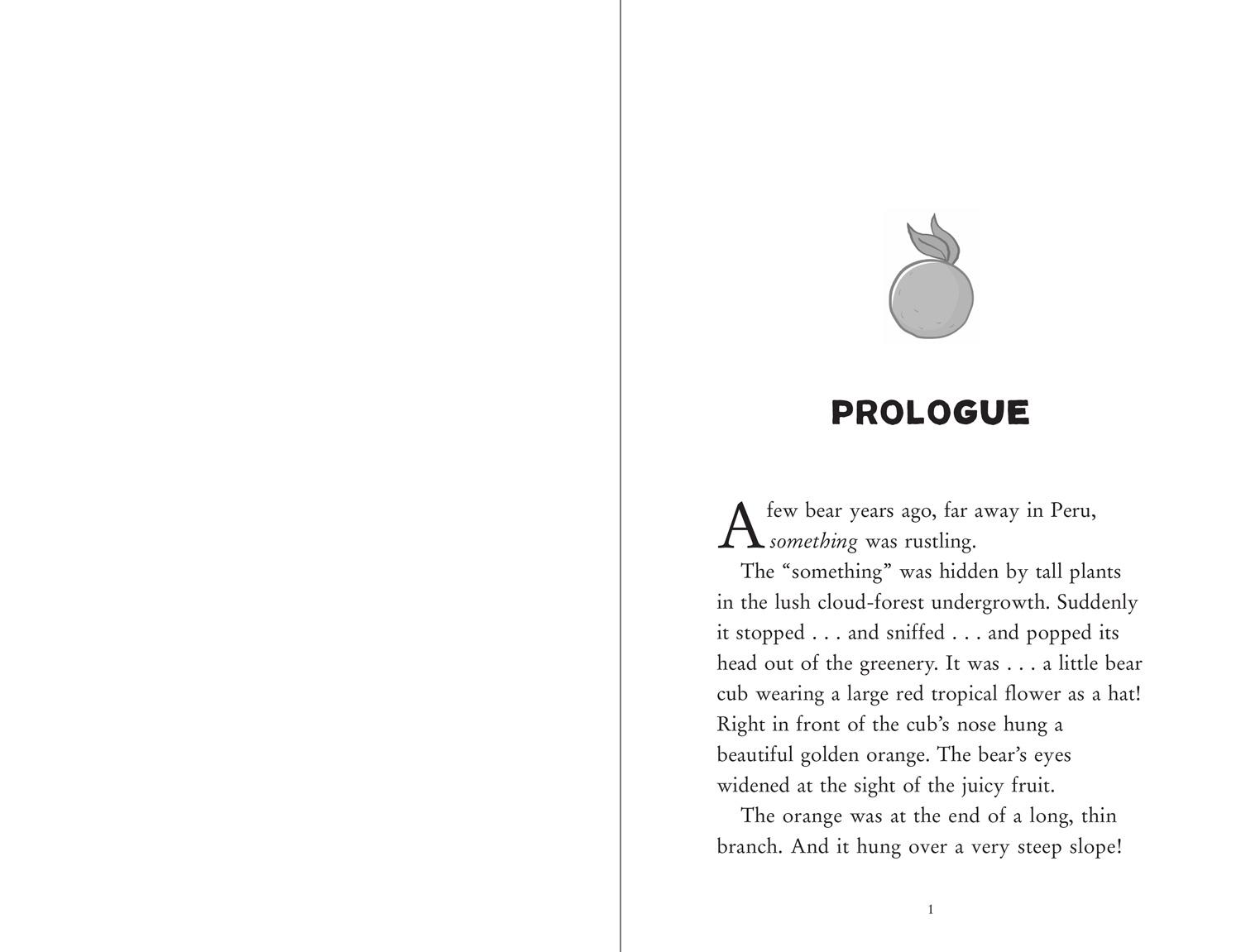 Beispielinhalt (Bild) Paddington in Peru: The Story of the Movie