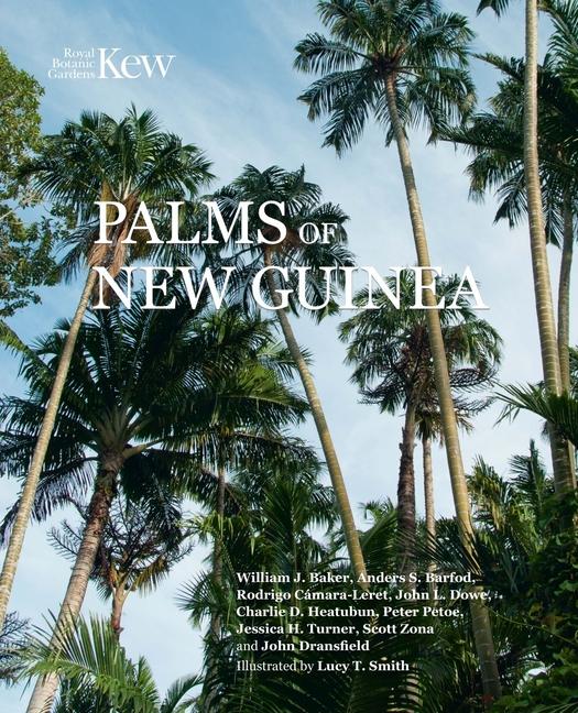 Vorderes Coverbild Palms of New Guinea