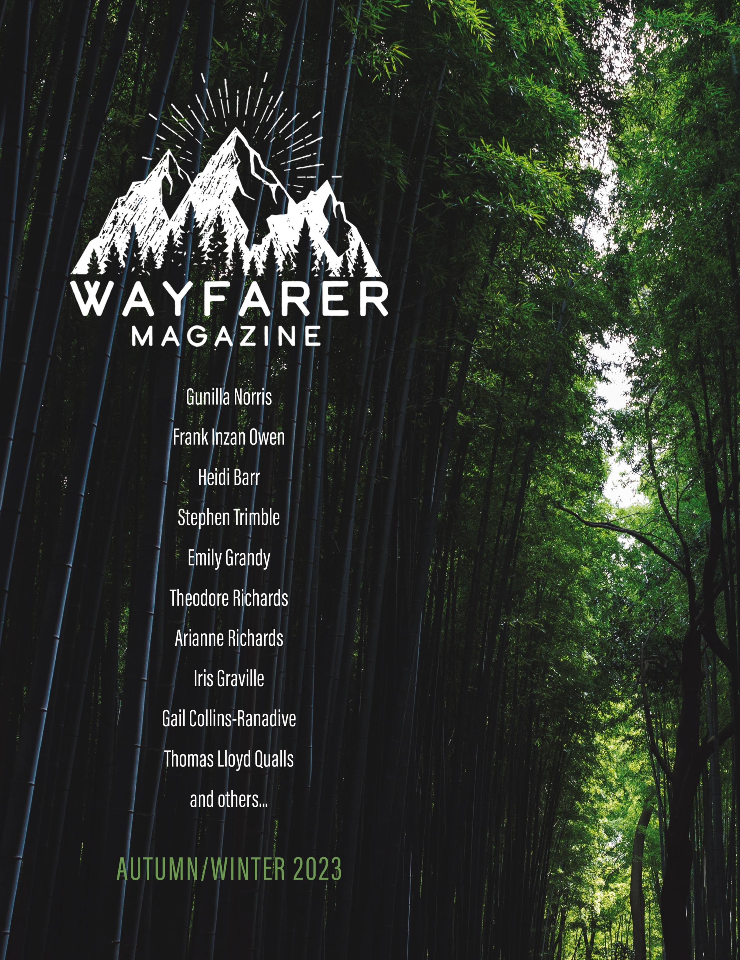 Vorderes Coverbild Wayfarer Magazine Issue 41