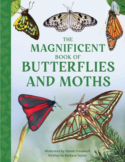 Vorderes Coverbild The Magnificent Book of Butterflies and Moths