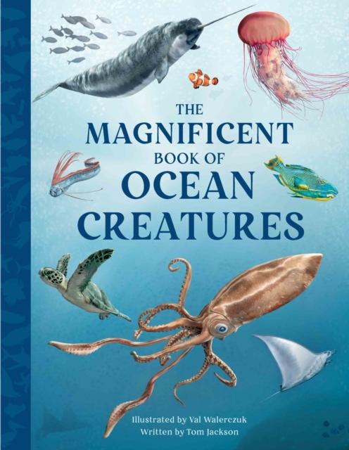 Vorderes Coverbild The Magnificent Book of Ocean Creatures