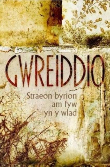 Vorderes Coverbild Gwreiddio