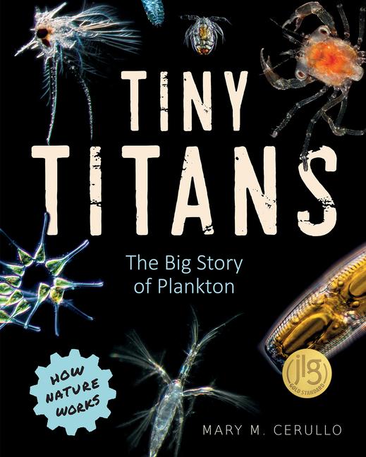 Vorderes Coverbild Tiny Titans