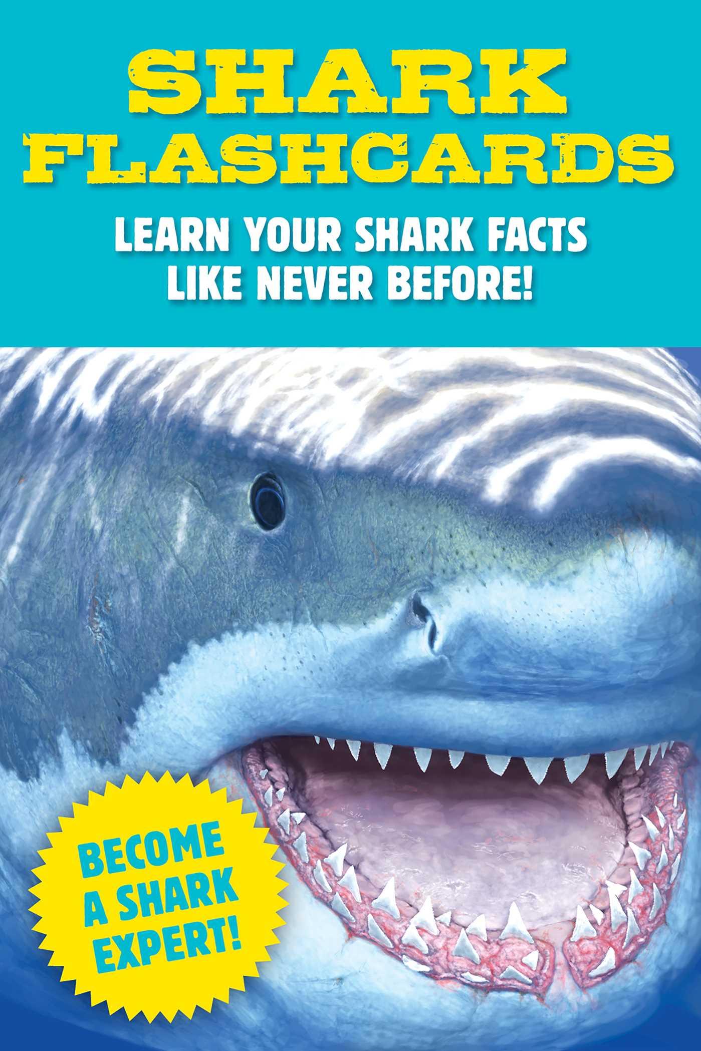 Vorderes Coverbild Shark Flashcards