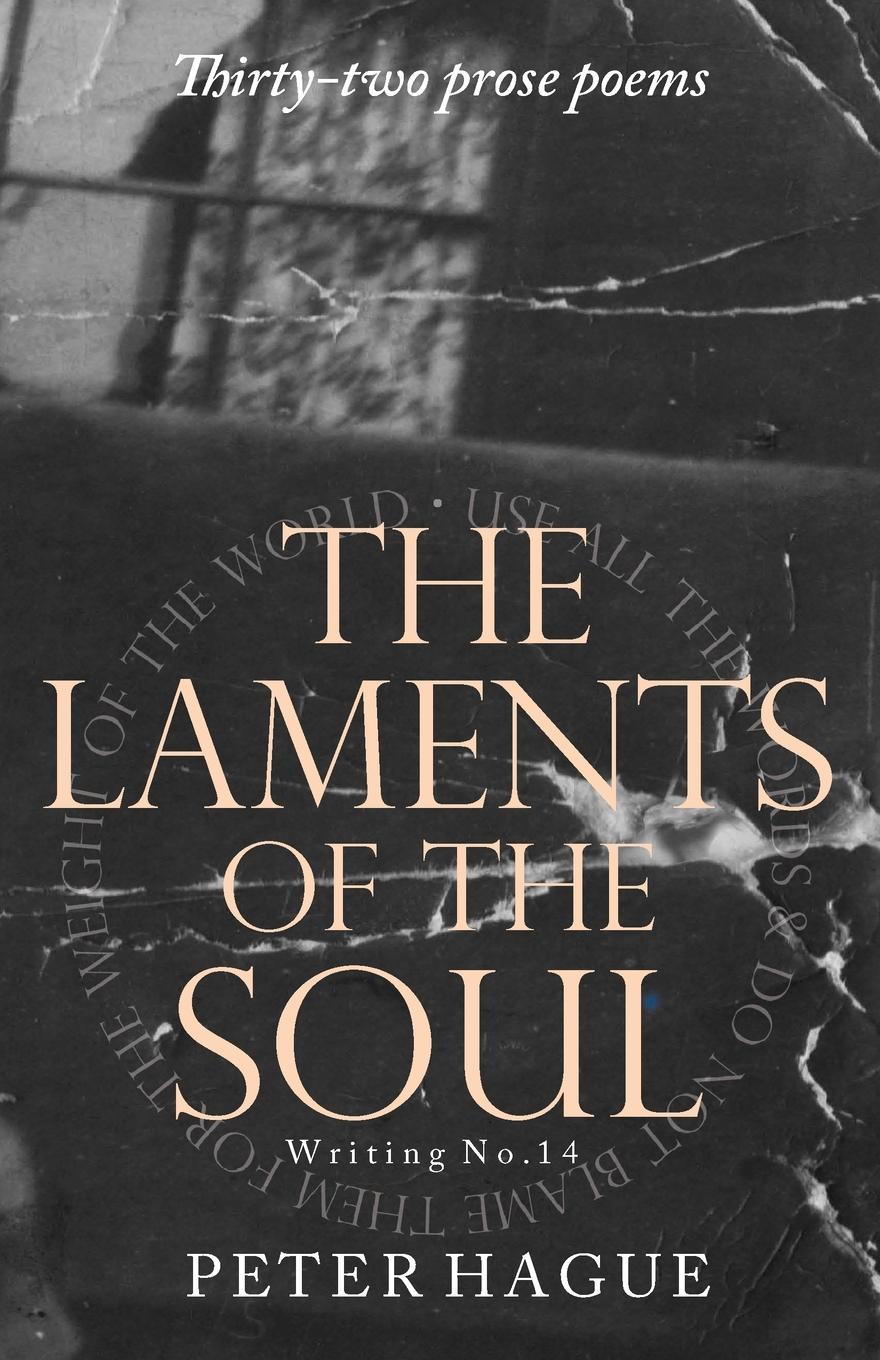 Vorderes Coverbild The ¿Laments of the ¿Soul