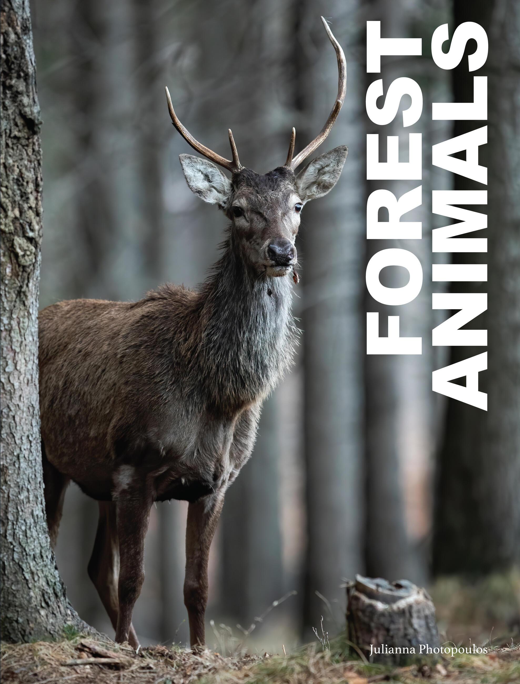 Vorderes Coverbild Forest Animals