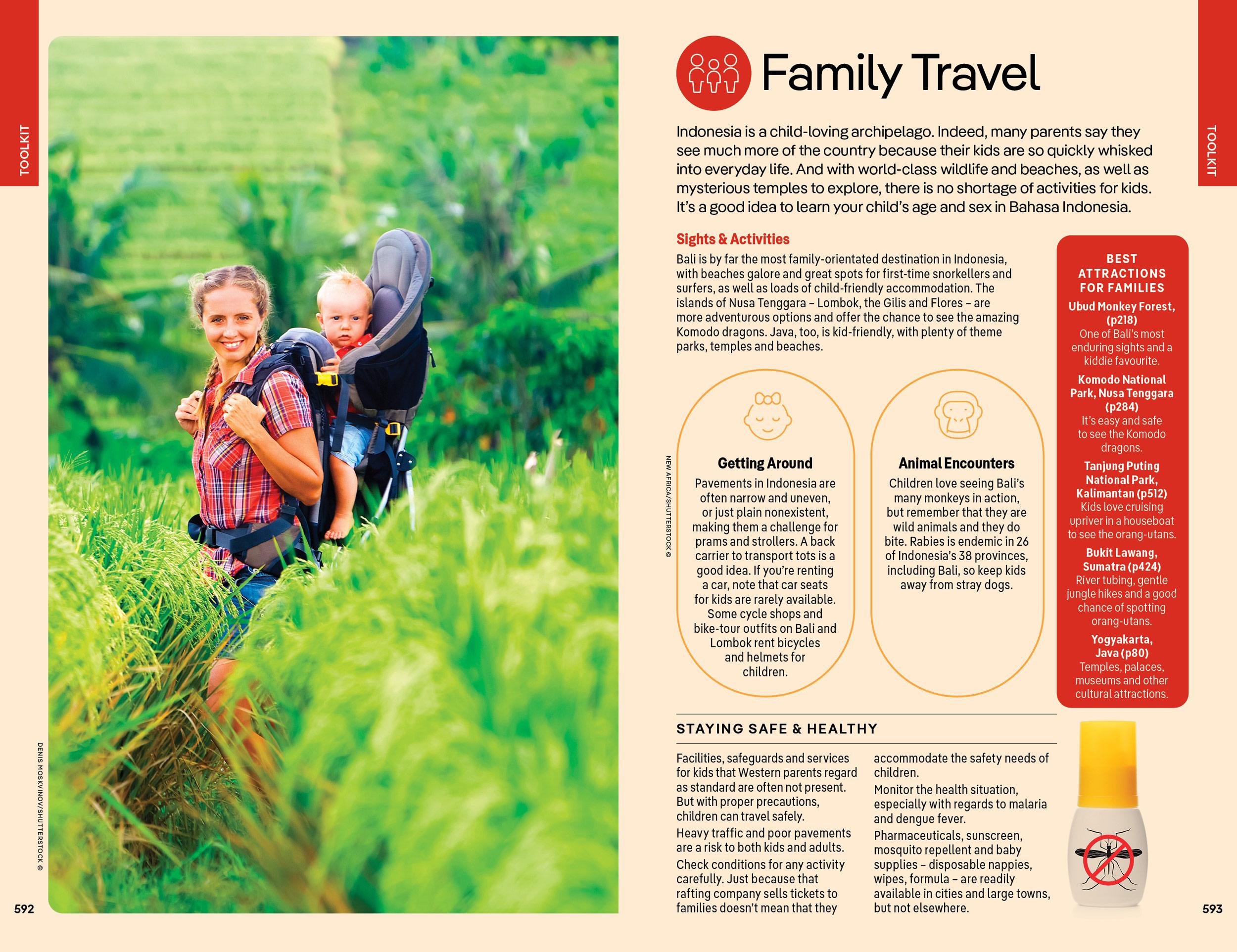 Beispielinhalt (Bild) Lonely Planet Indonesia