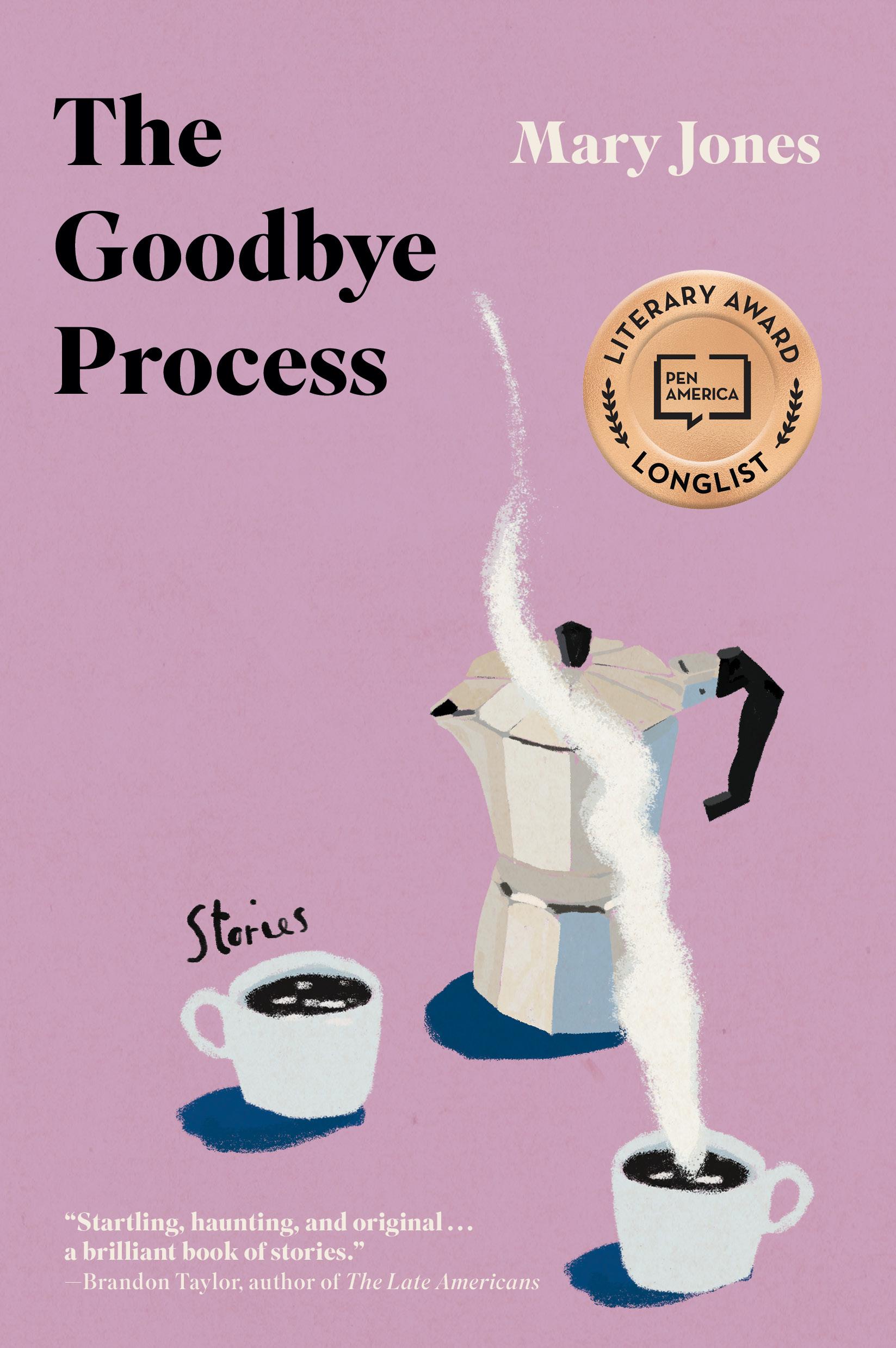 Vorderes Coverbild The Goodbye Process